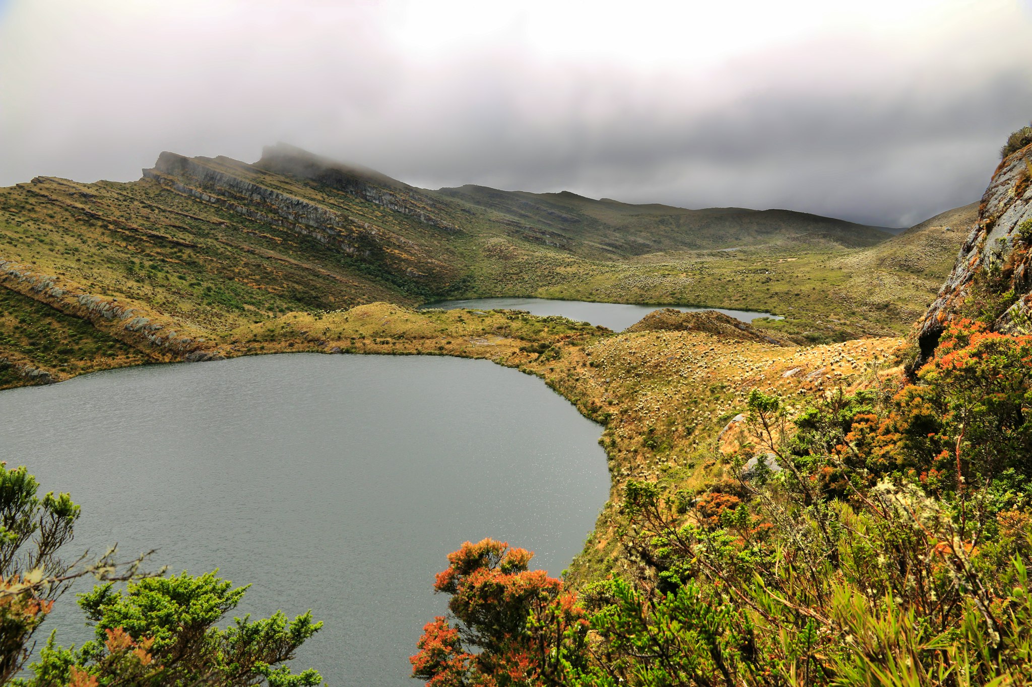 Bogota to Chingaza Park and La Calera: Private day trip