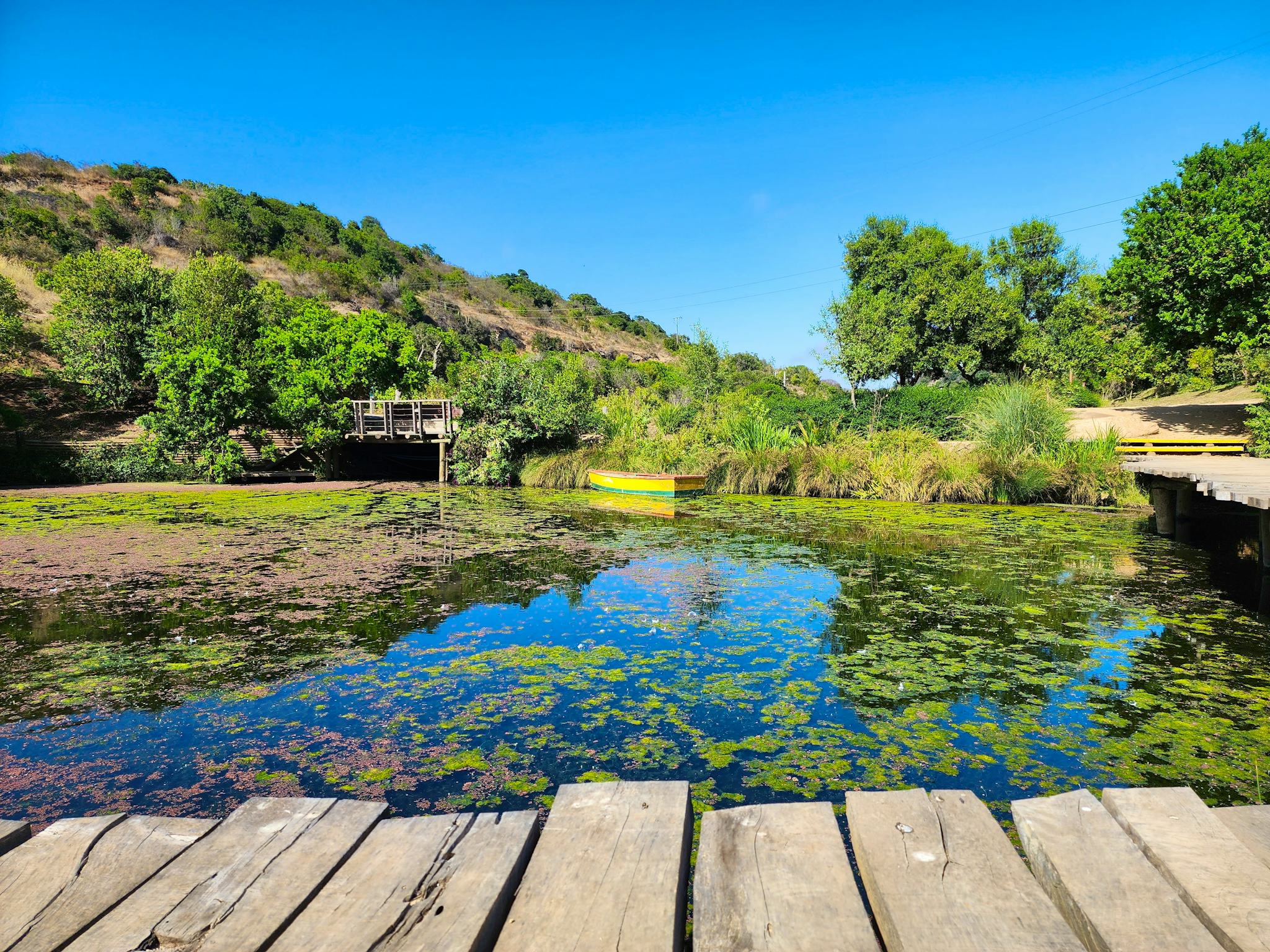 Santiago to Casa del Isla Negra and Parque Tricao: day trip