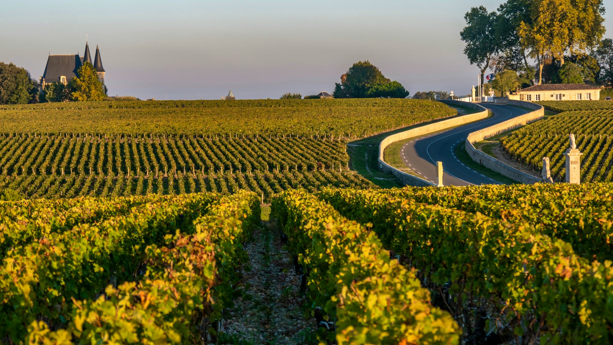 Bordeaux to Pauillac and Margaux: Private day trip