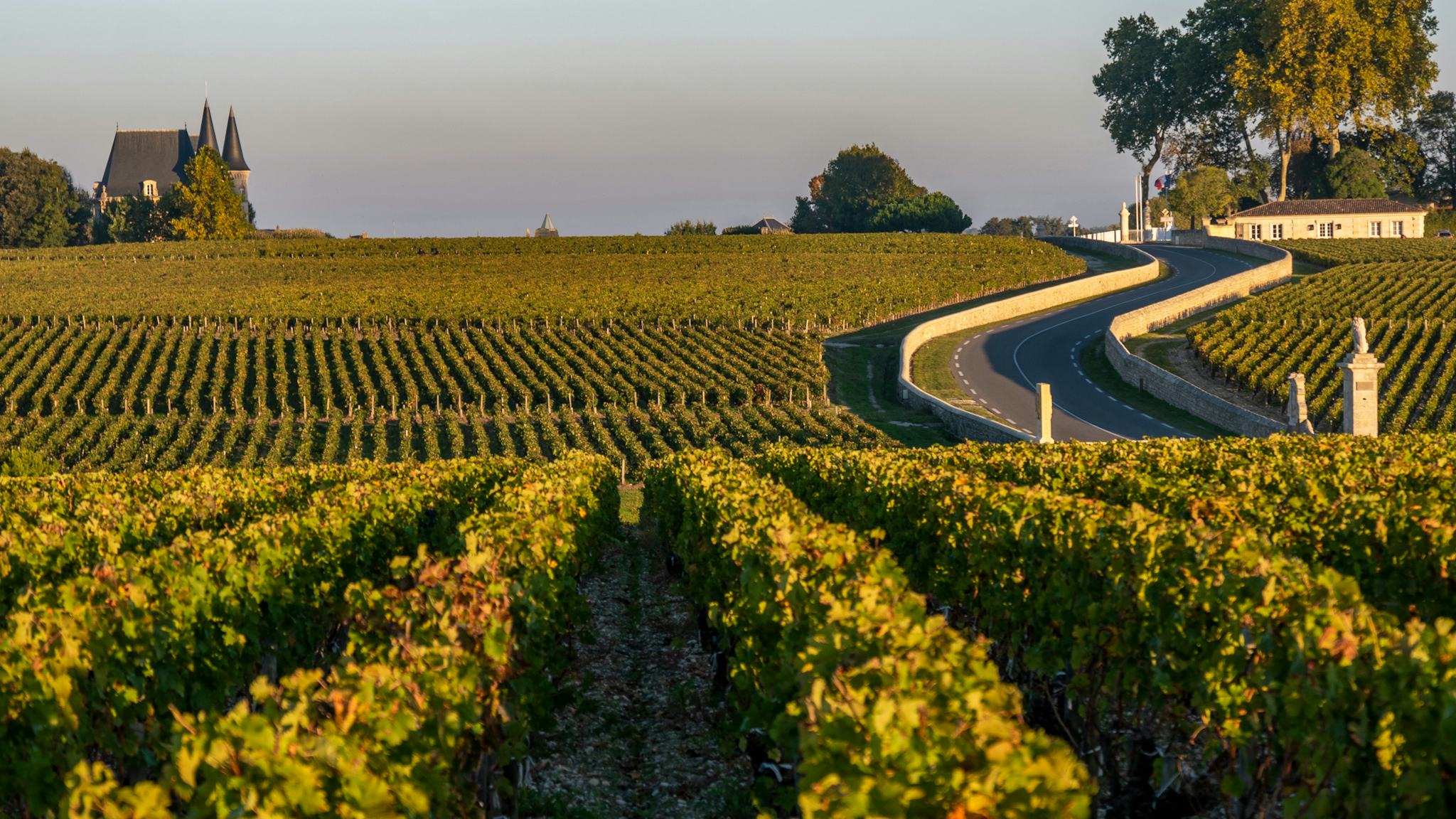 Pauillac