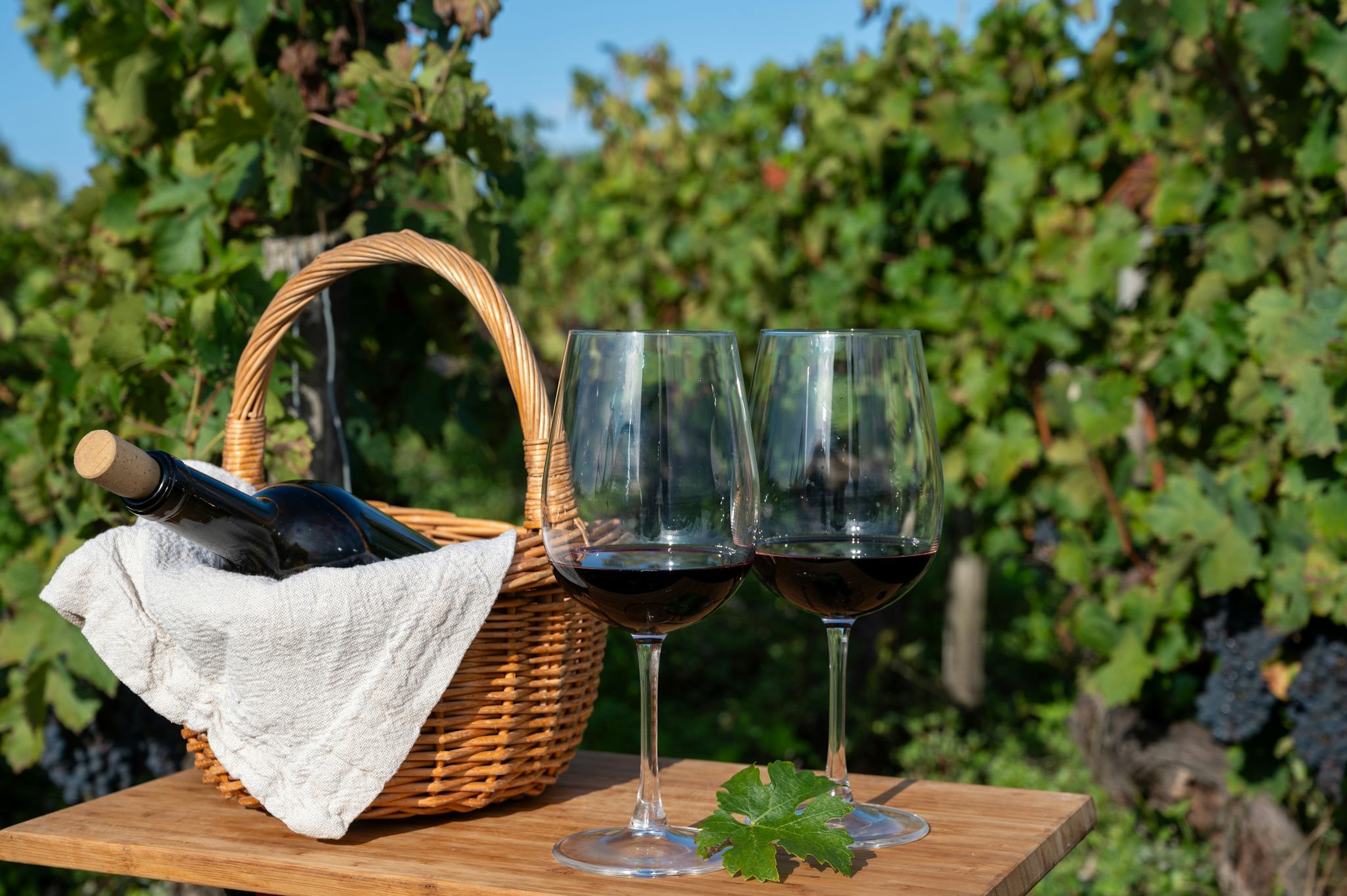 Pauillac