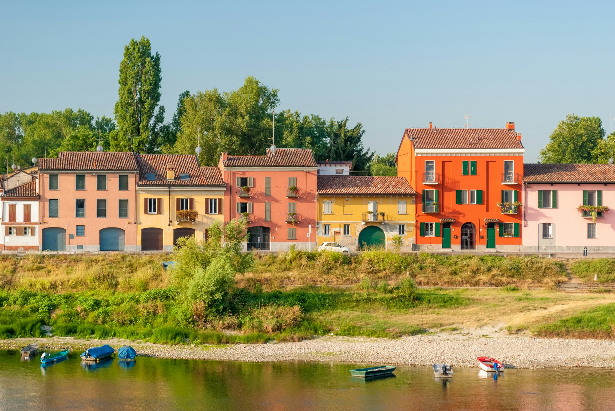 Pavia
