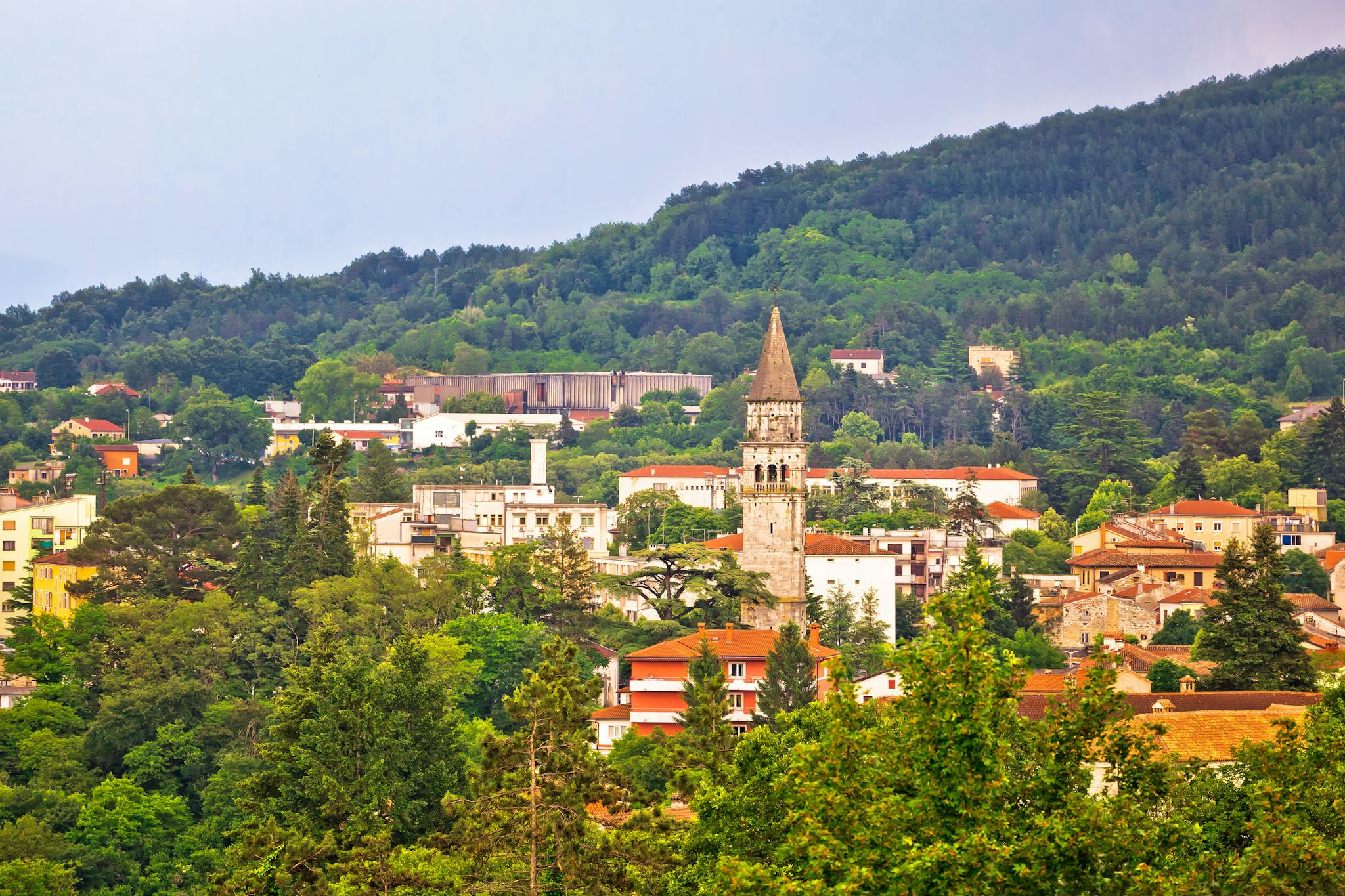 Pazin