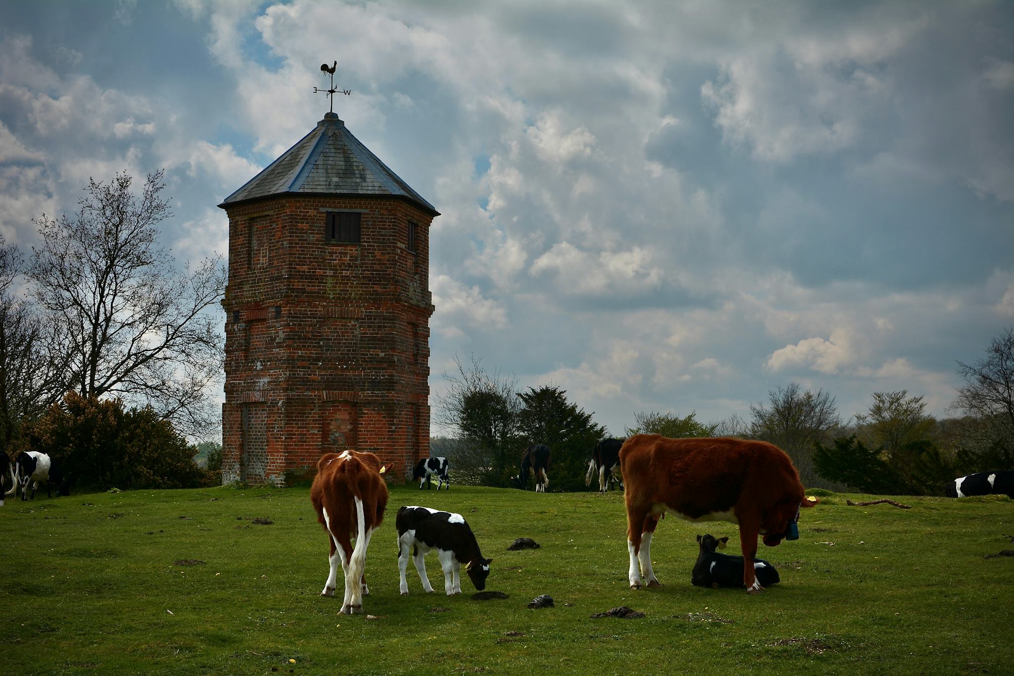 Pepperbox Hill