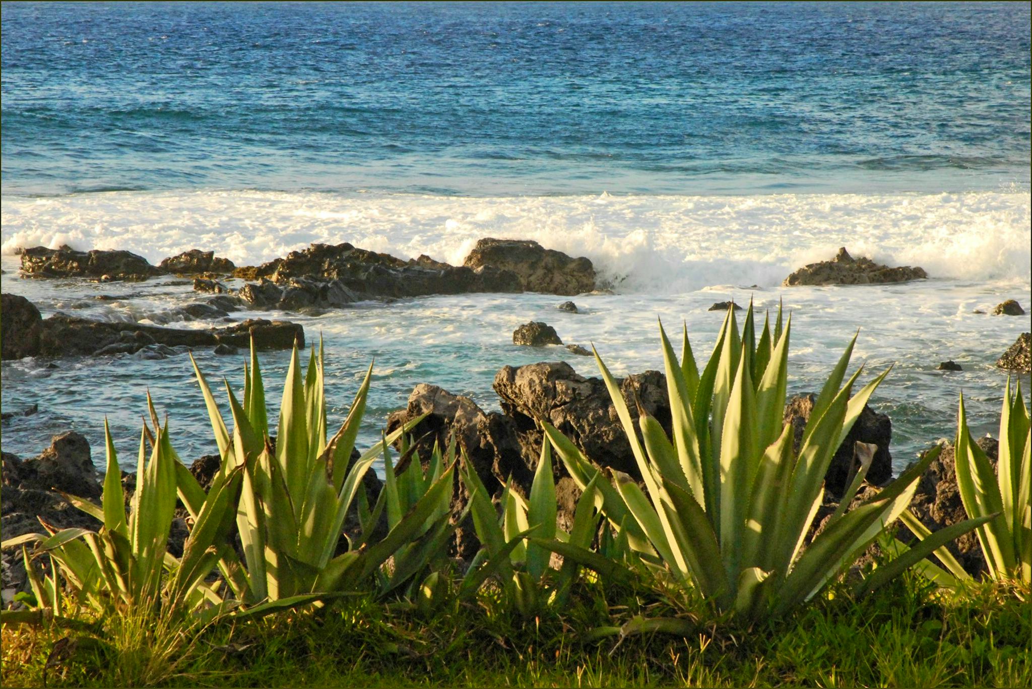 Plage de Boucan Canot