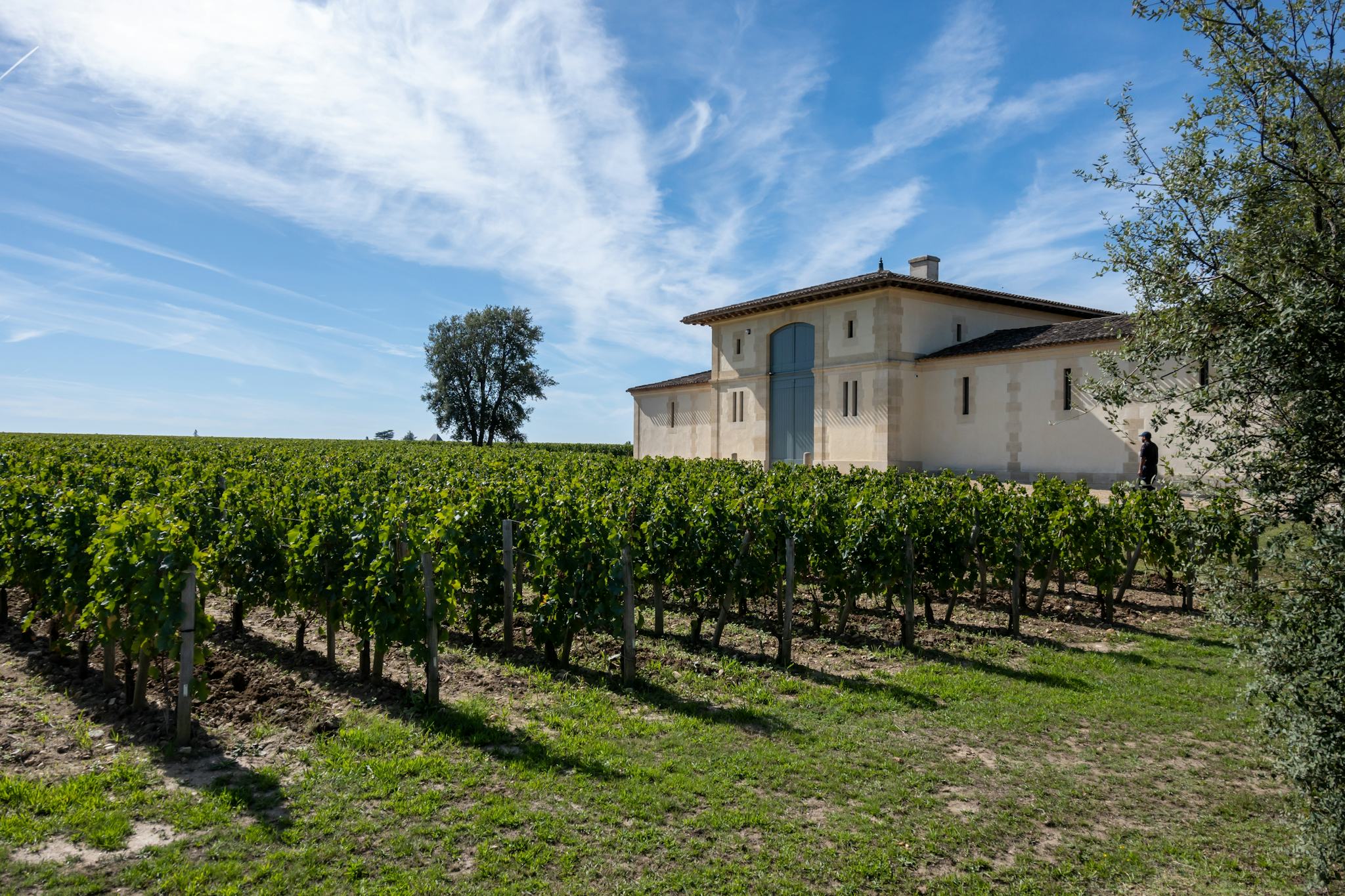 Pomerol