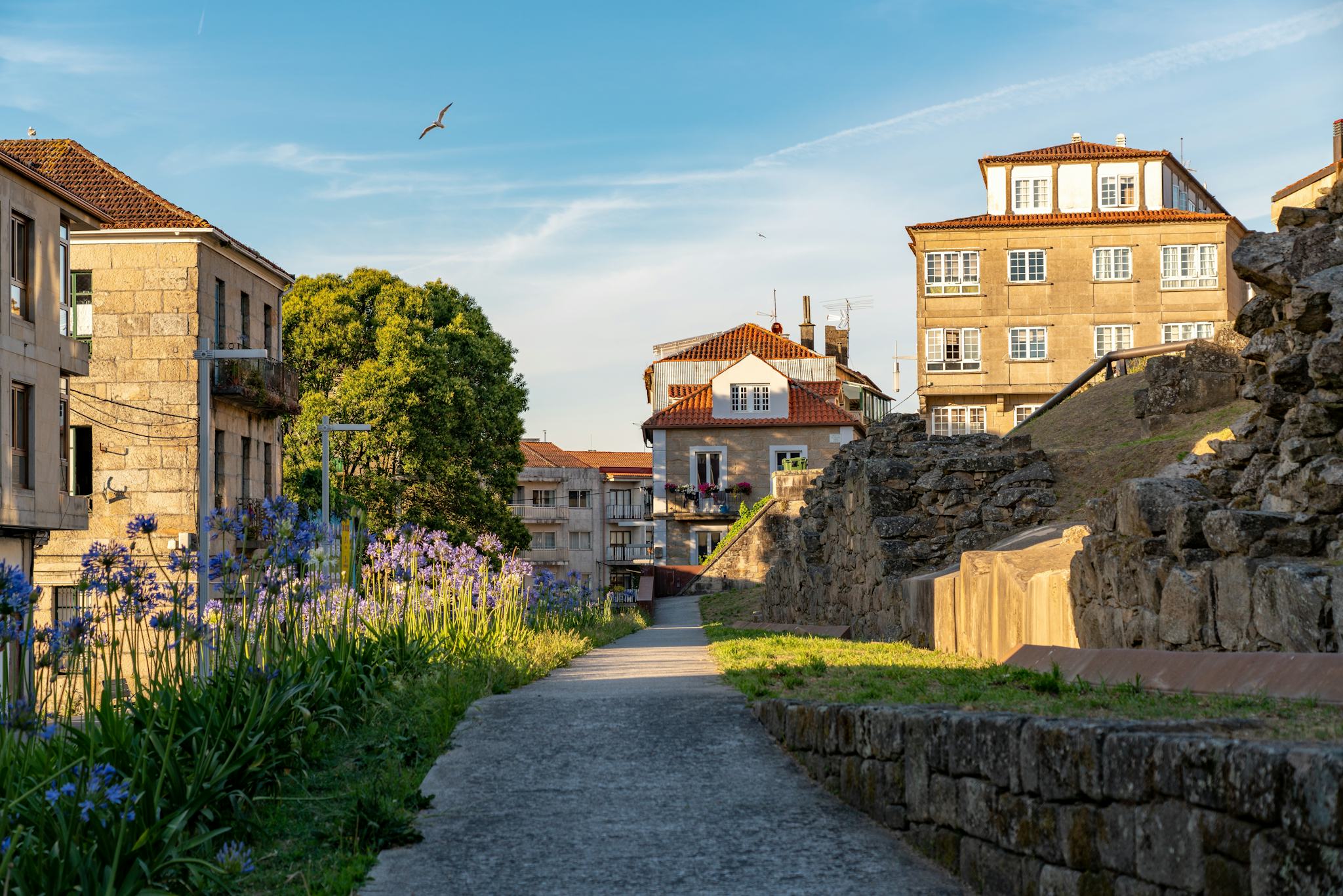 Pontevedra