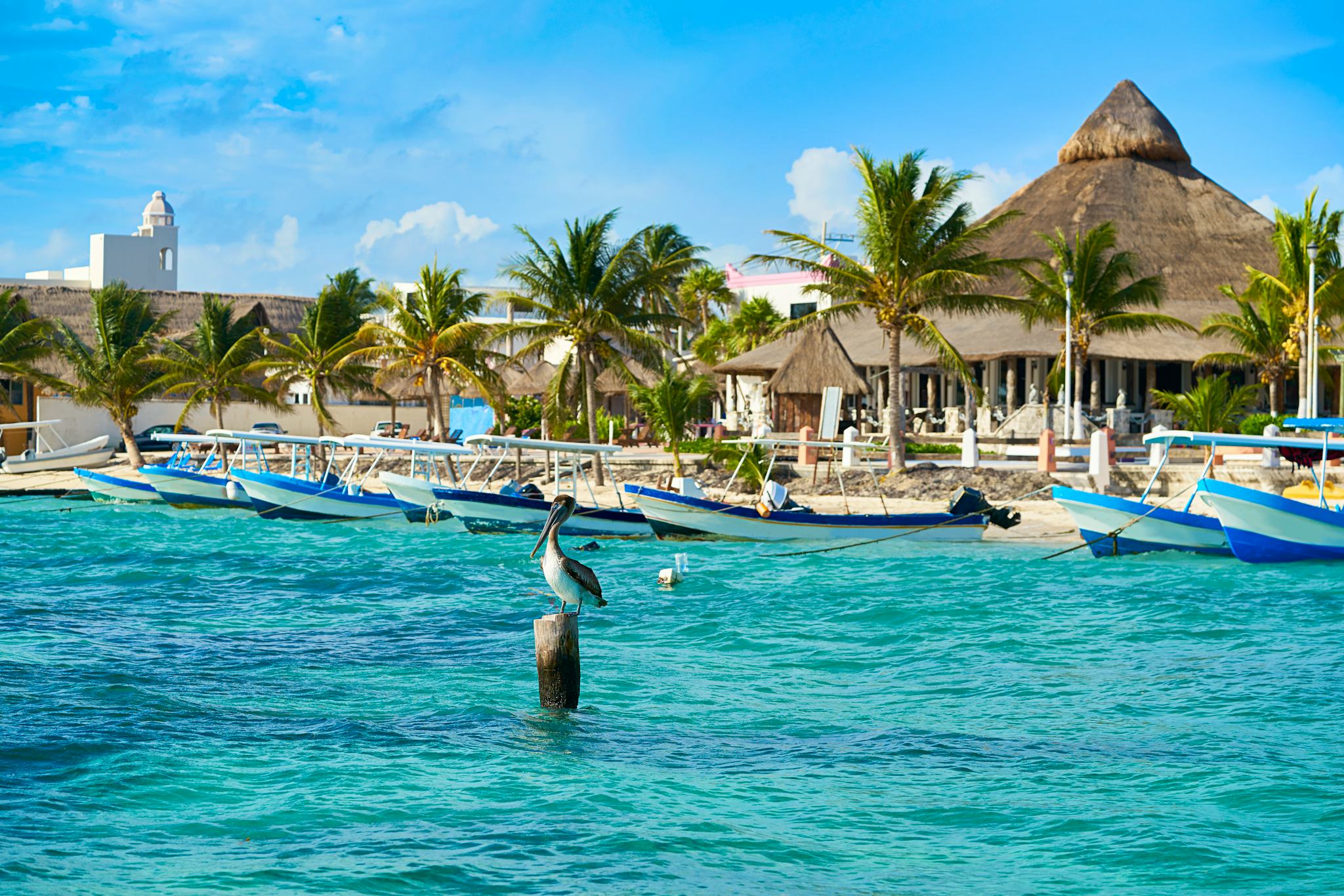 图伦 到 Puerto Morelos
