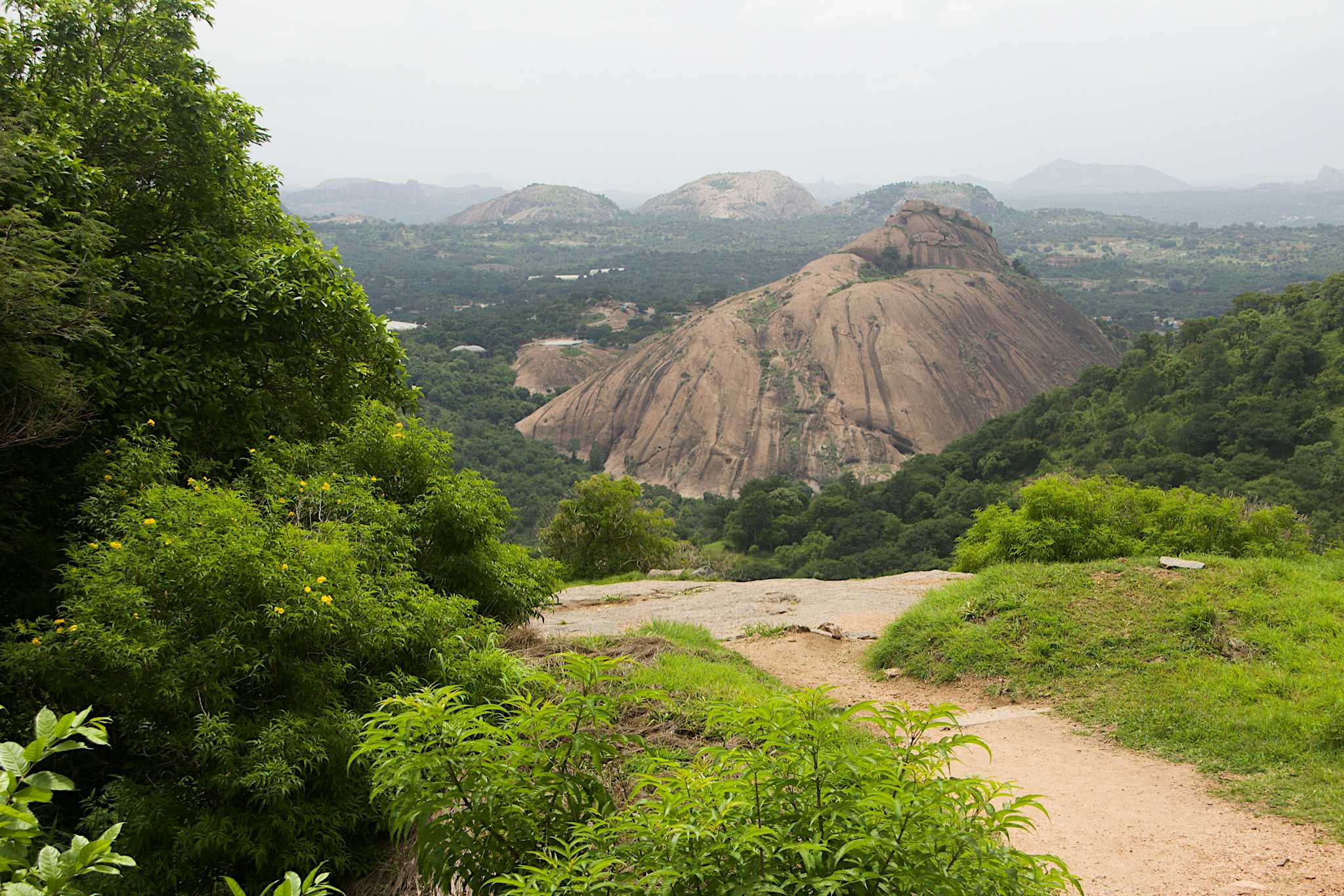 Ramanagara Ramadevarabetta Vulture Sanctuary