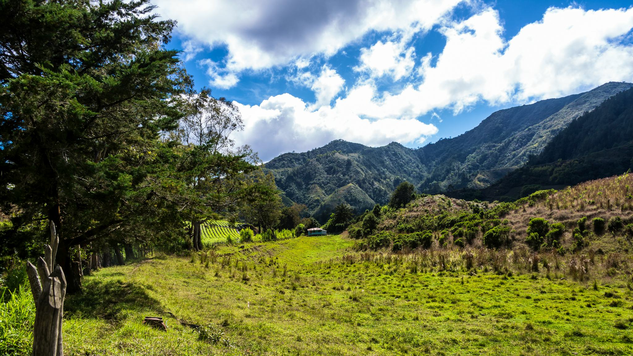 Réserve Biologique Uyuca