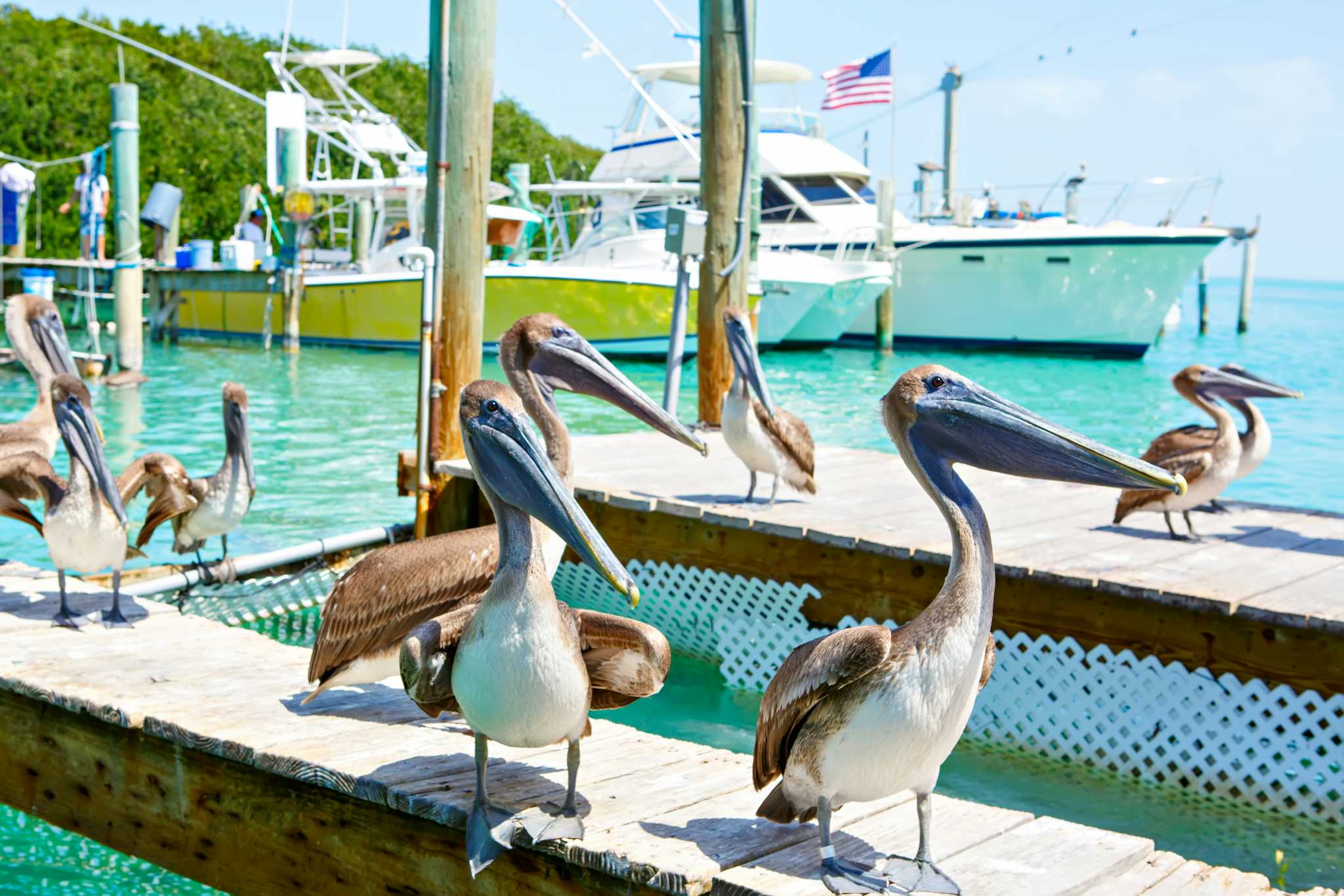 Robbie's of Islamorada