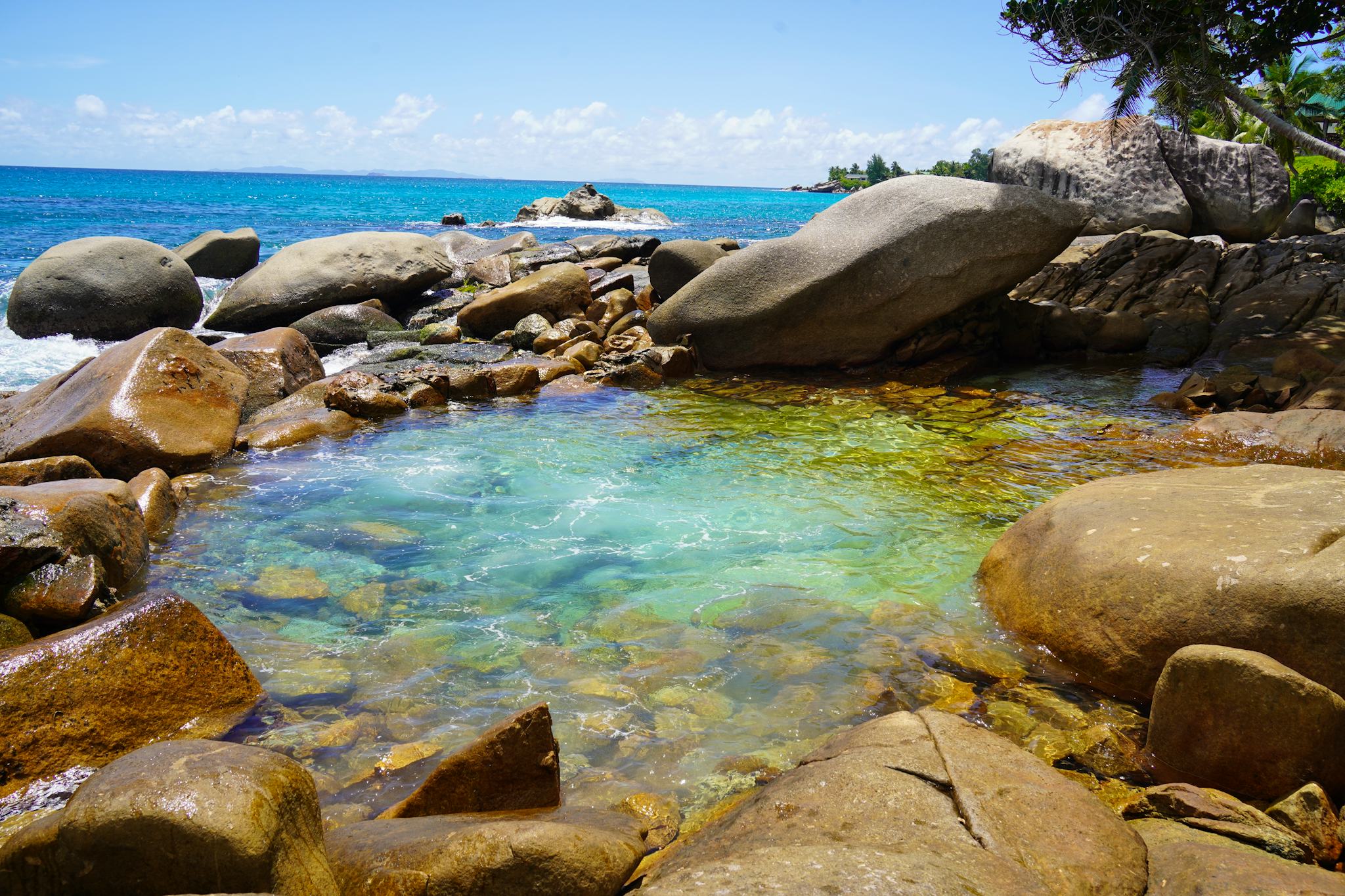 The Rock Pool