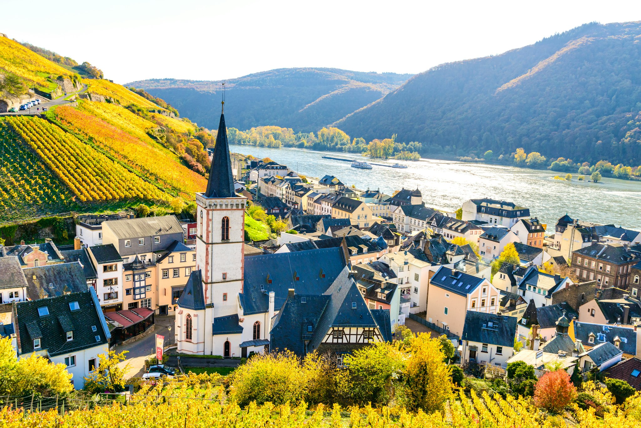 Frankfurt Airport to Rudesheim am Rhine: Private day trip