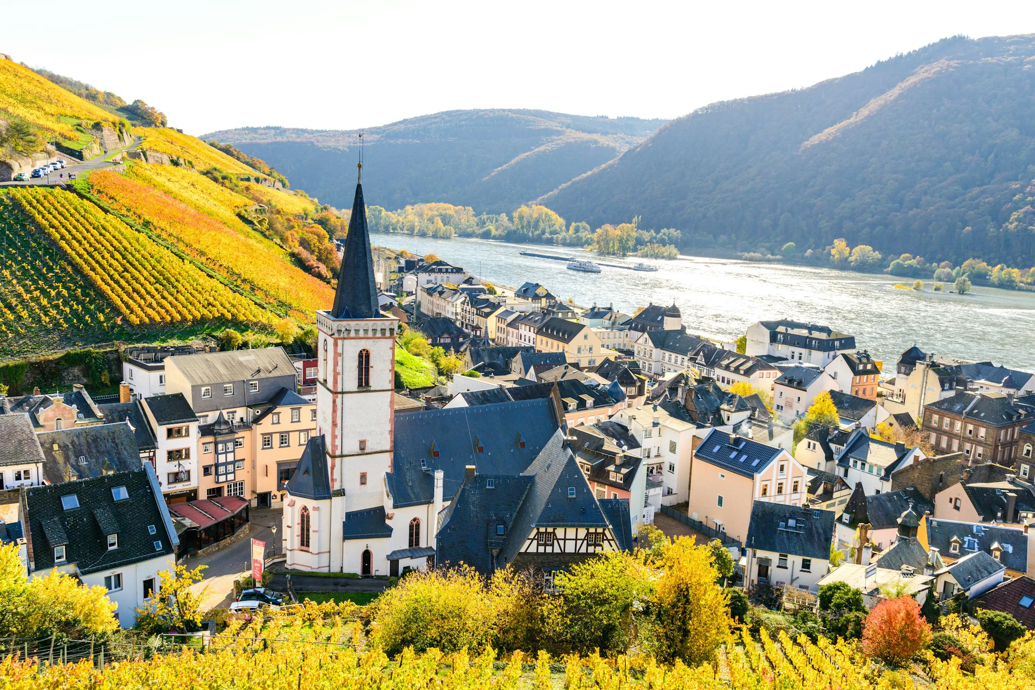 Frankfurt Airport to Rudesheim am Rhine: Private day trip hero image
