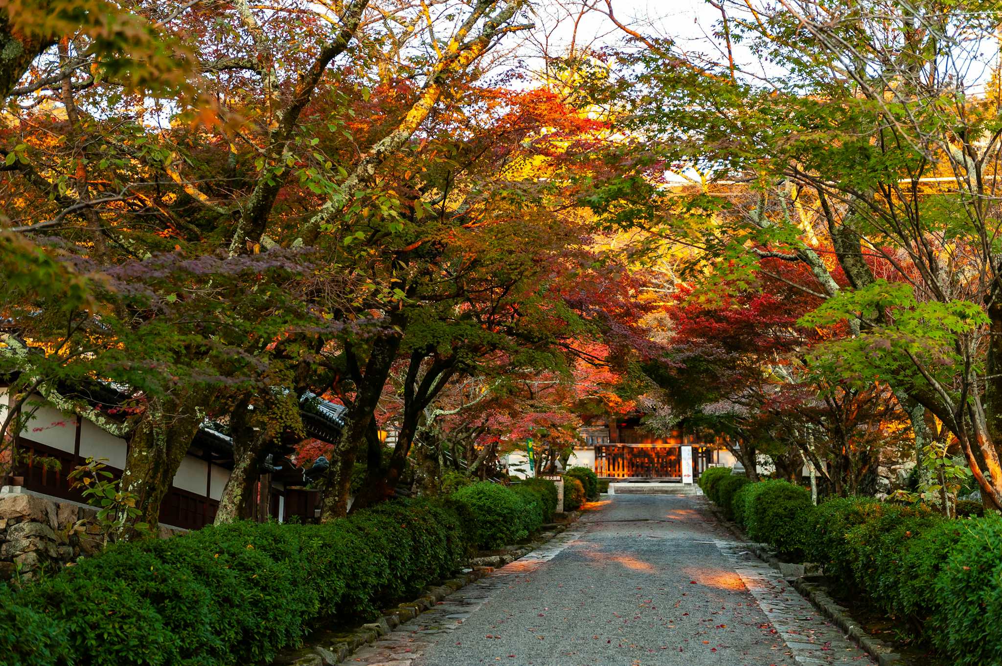 Saikyo-ji