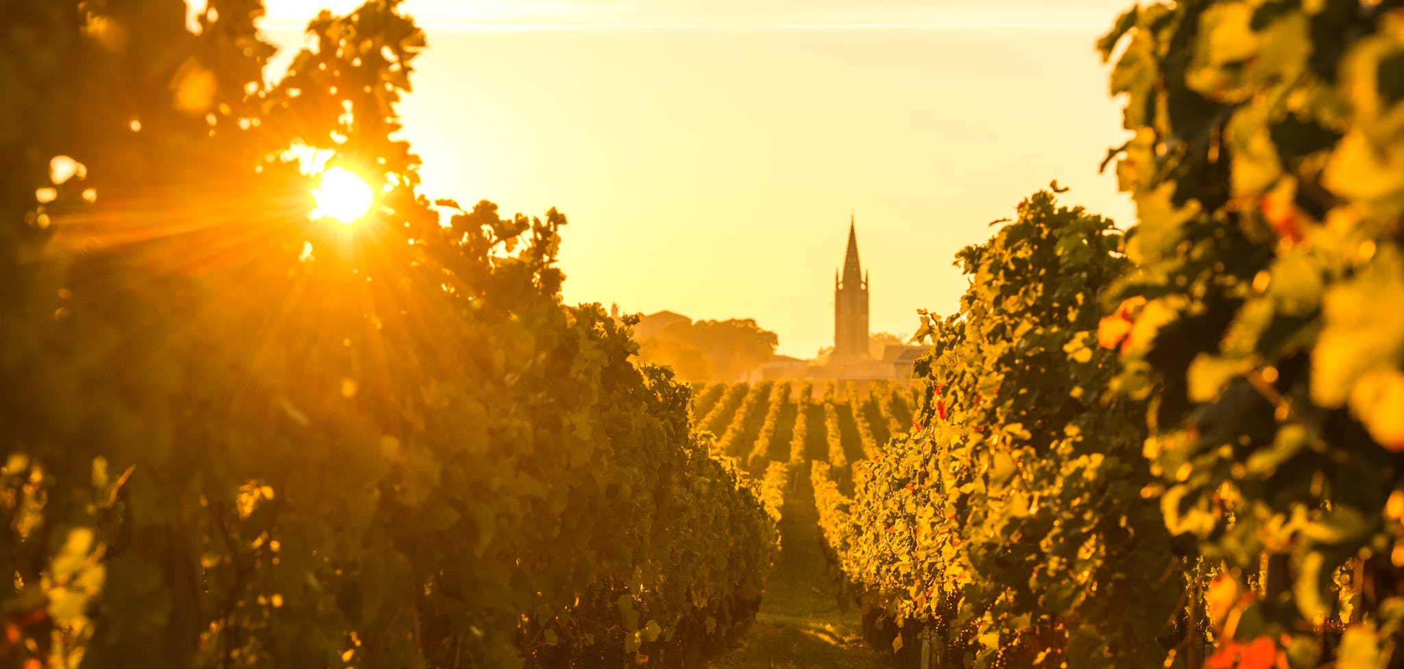 St. Emilion