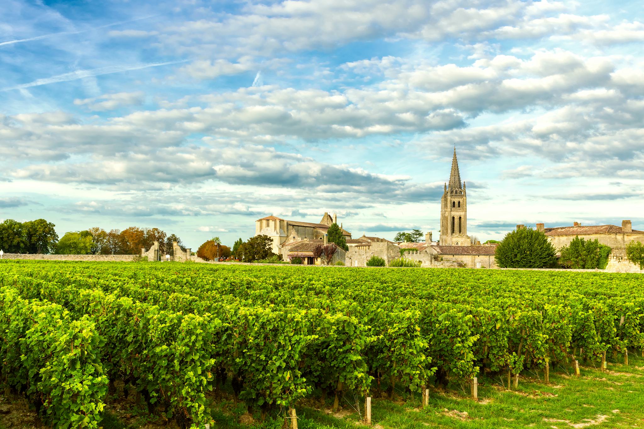 St. Emilion