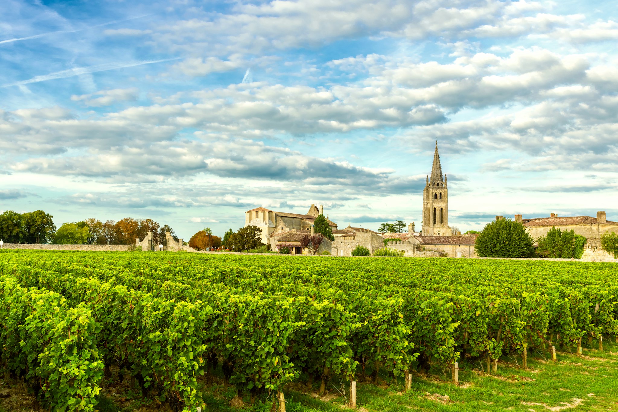 St. Emilion