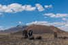 Discover location header image