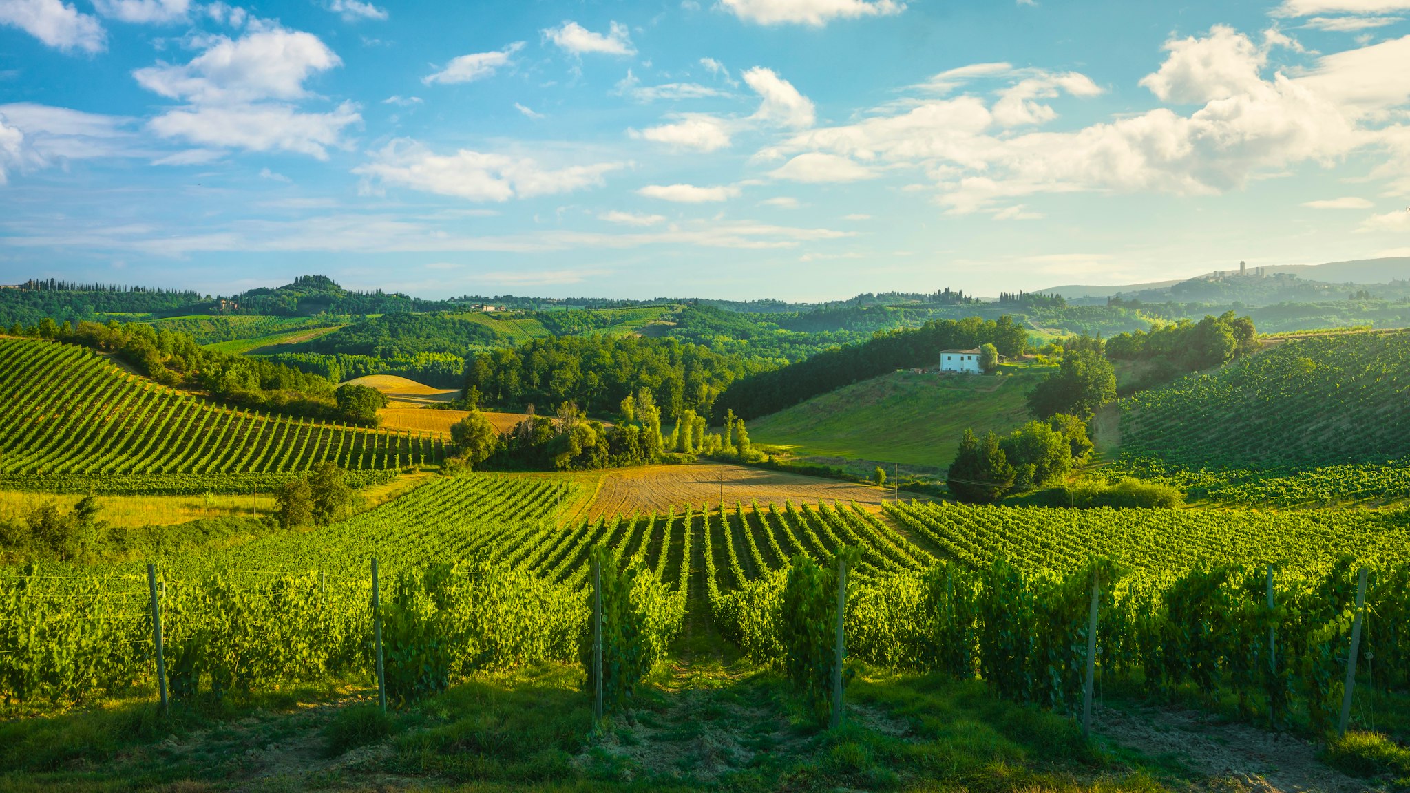 Siena to San Gimignano: Private day trip