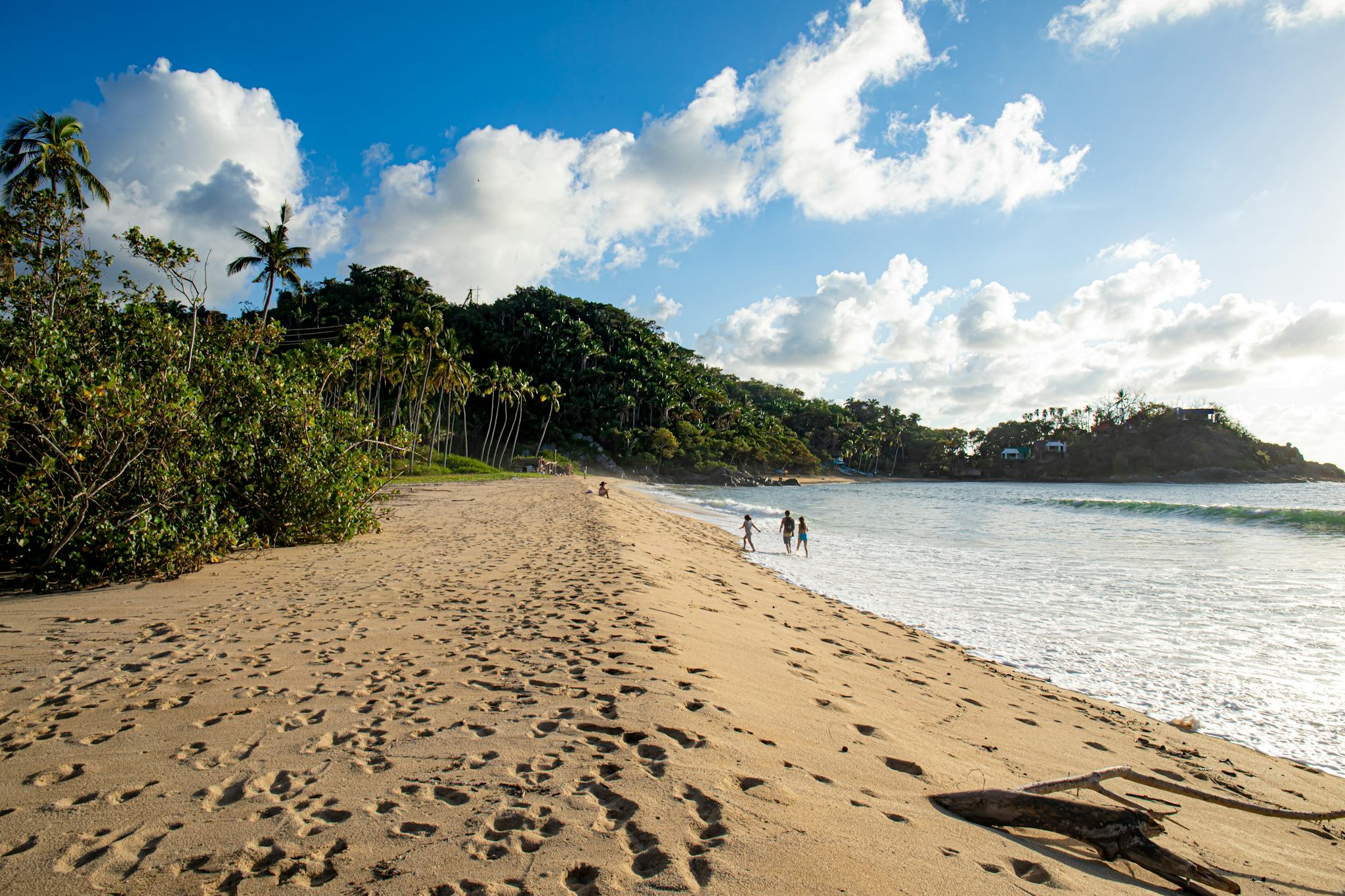 Puerto Vallarta to Sayulita and San Pancho: Private day trip hero image