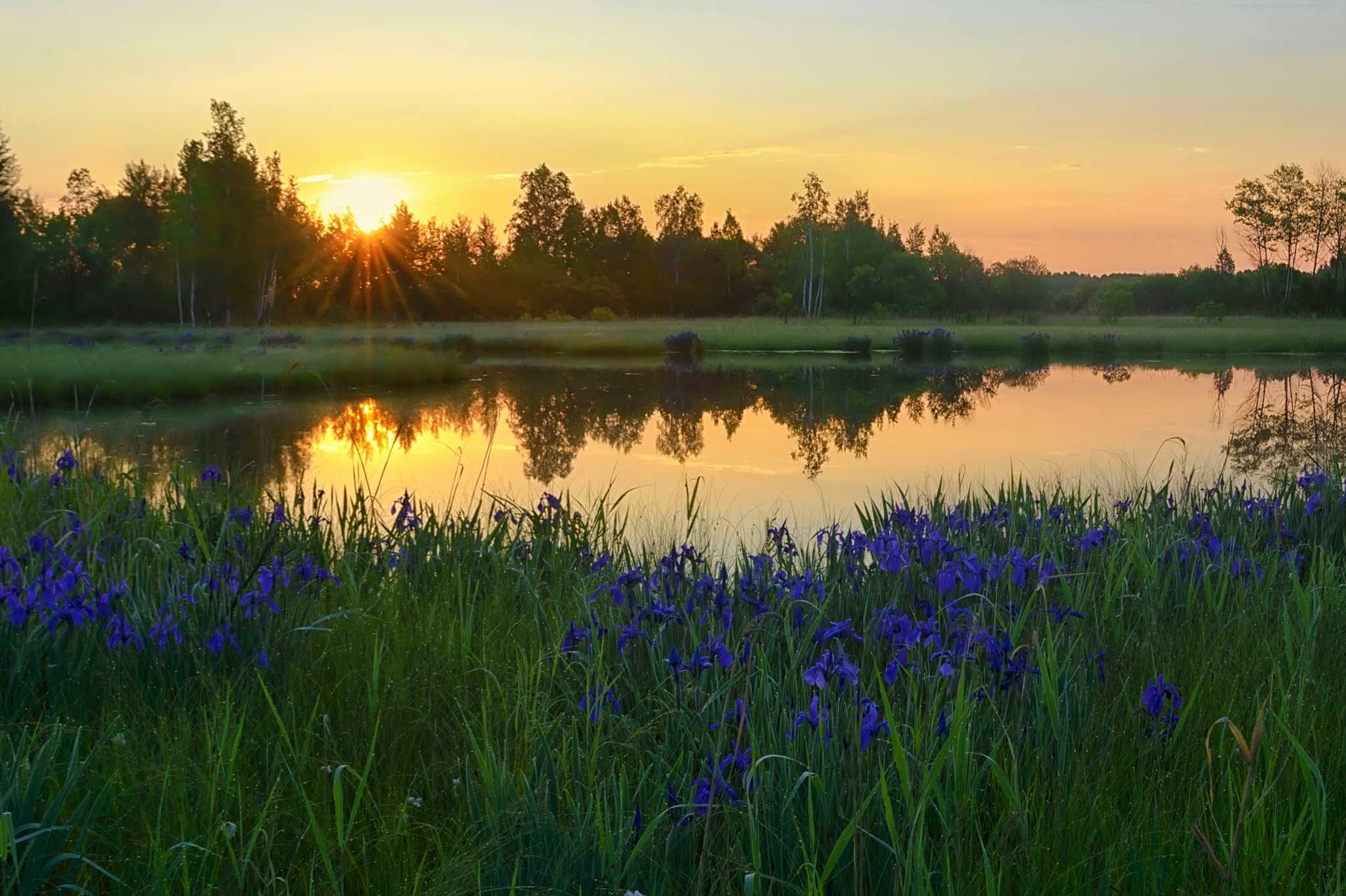 Seabourne Creek Nature Park