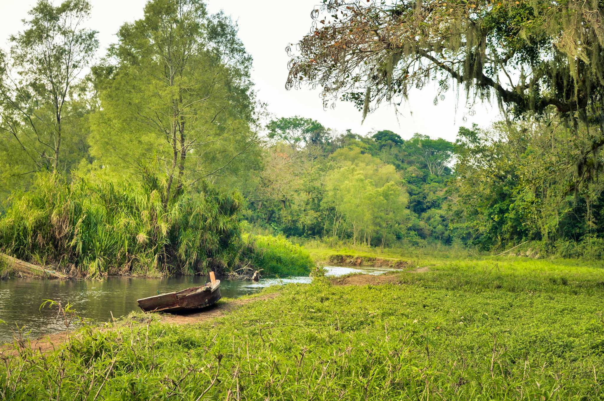 Sector Lago de Yojoa