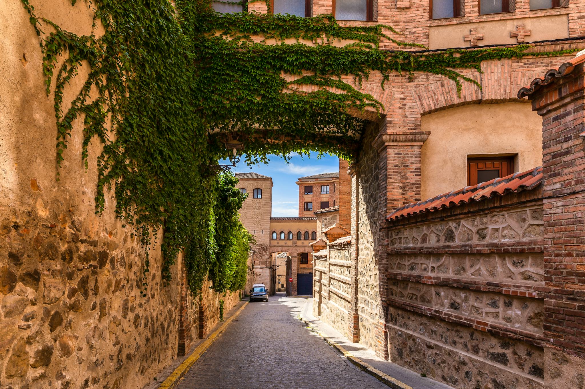 Madrid to Segovia and Avila: Private day trip