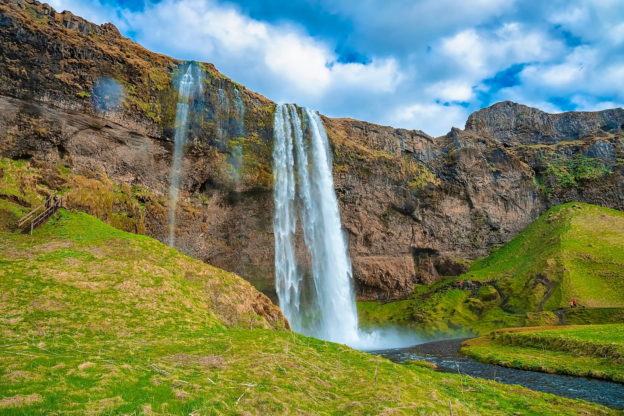 Reykjavik to Blue Lagoon and Seljalandsfoss: Day trip
