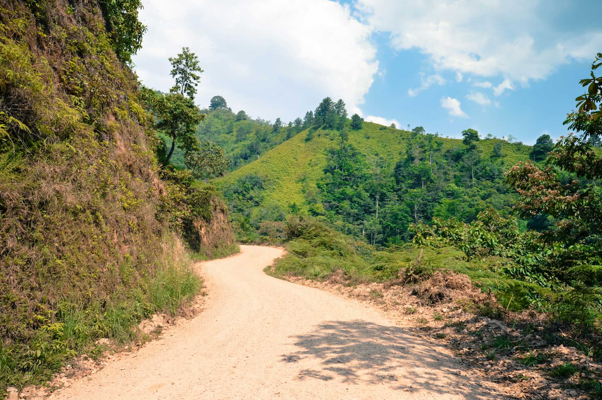 Sendero Las Golondrinas