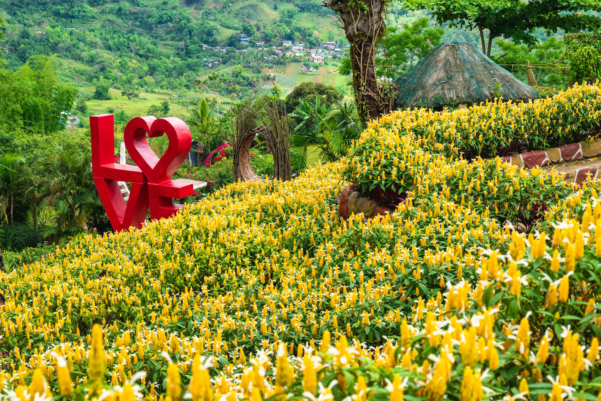 Cebu City to Sirao Garden and Temple of Leah: Day trip