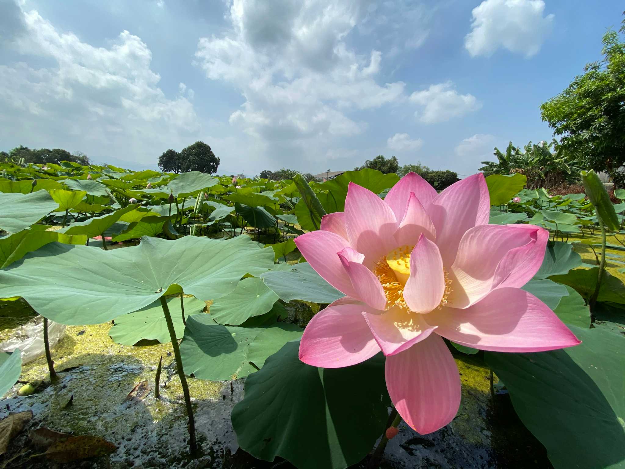 小南海风景区