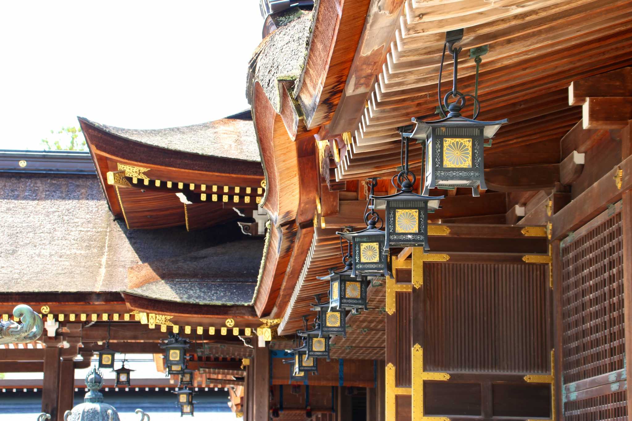 Taga Taisha