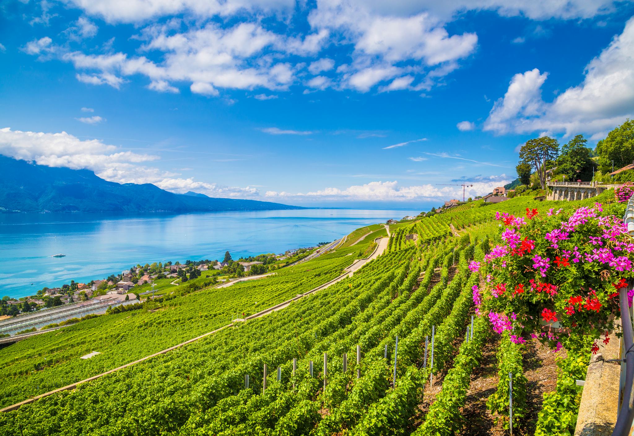 Terrasses viticoles de Lavaux