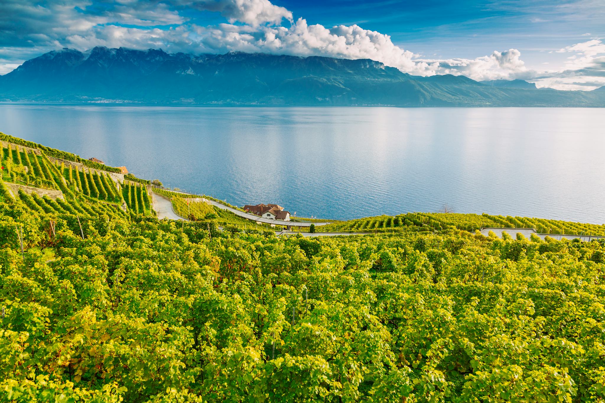 Terrasses viticoles de Lavaux