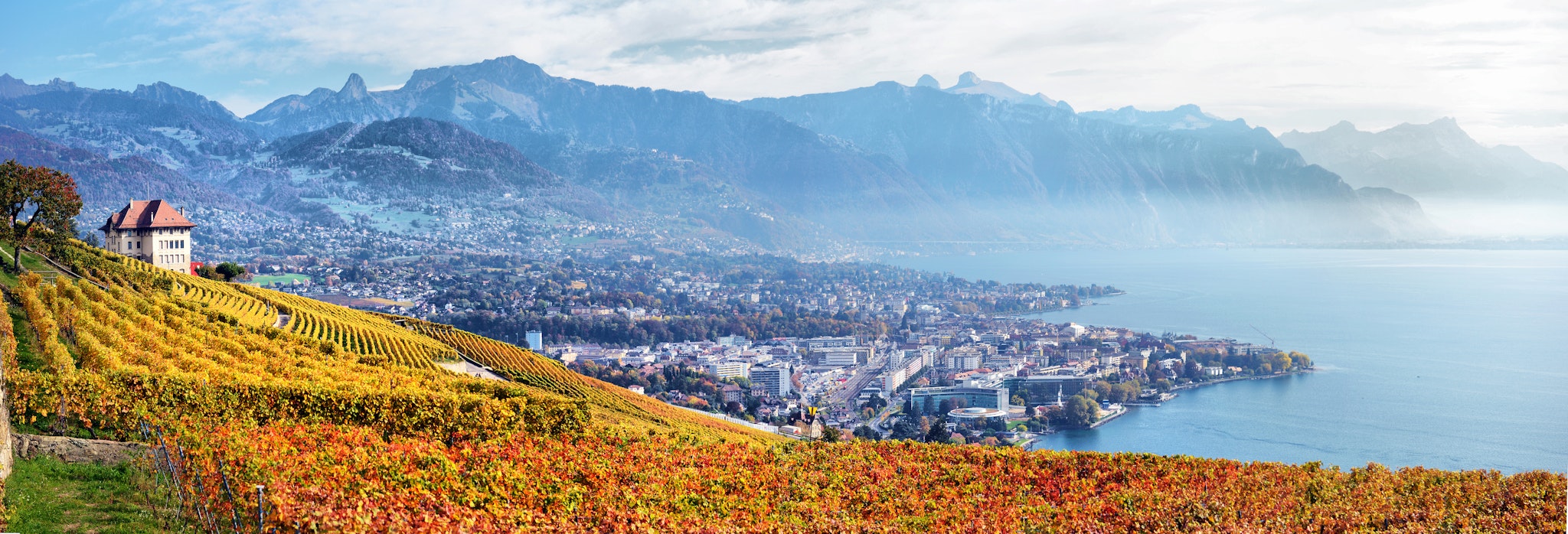 Terrasses viticoles de Lavaux
