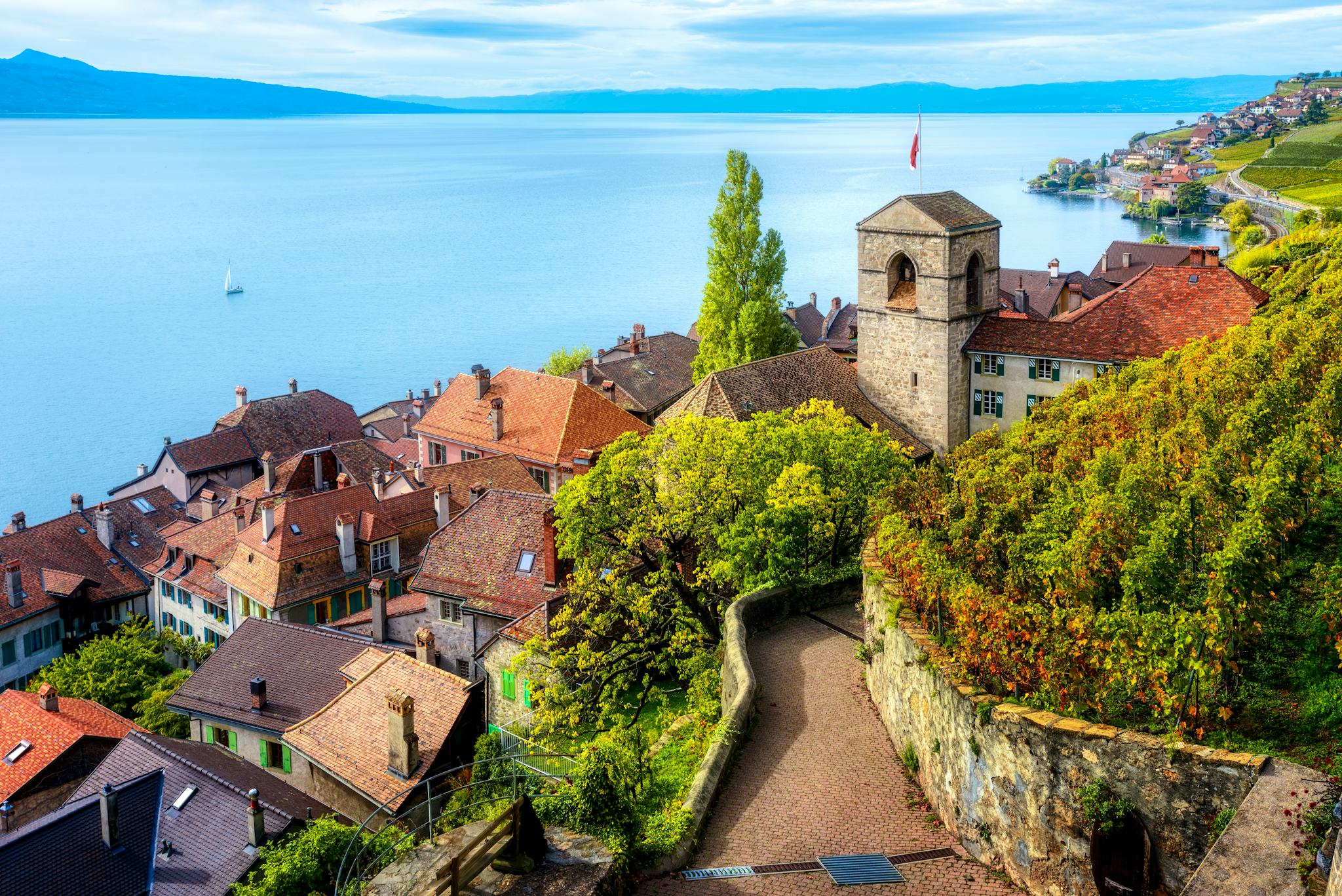 Montreux to Lavaux Vineyards and Vevey: Private day trip