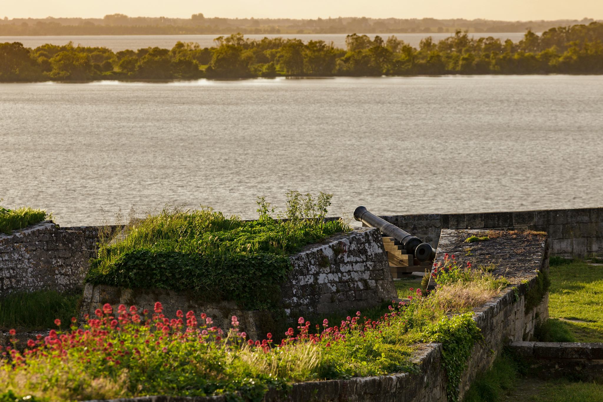 The Blaye Citadel