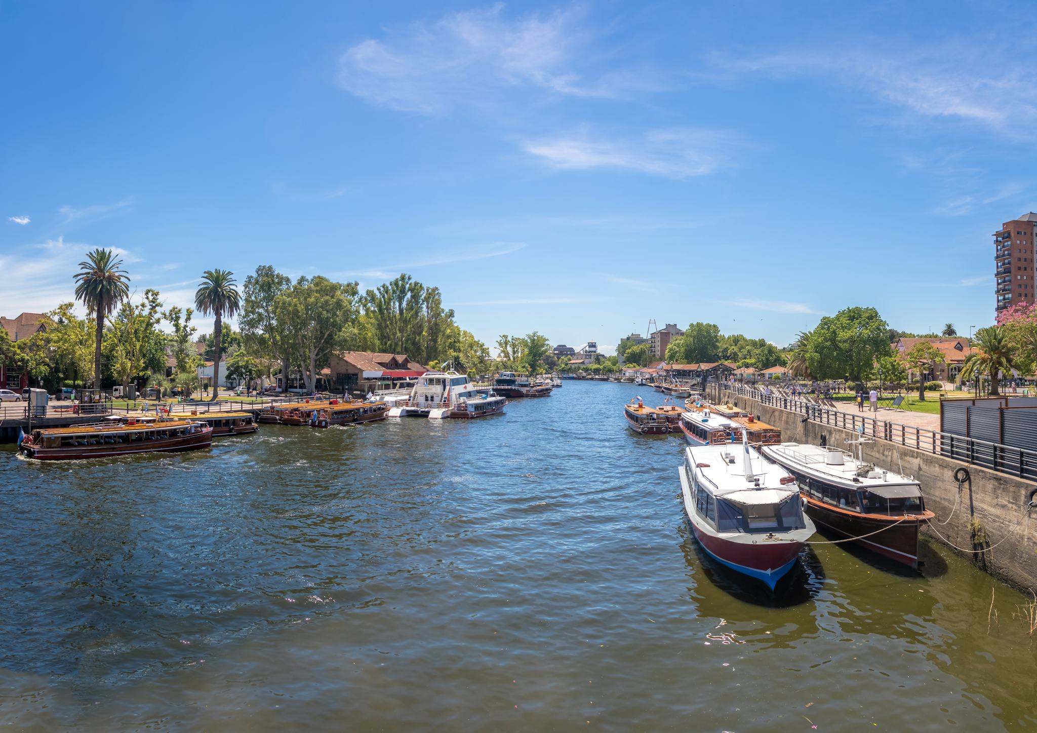Tigre
