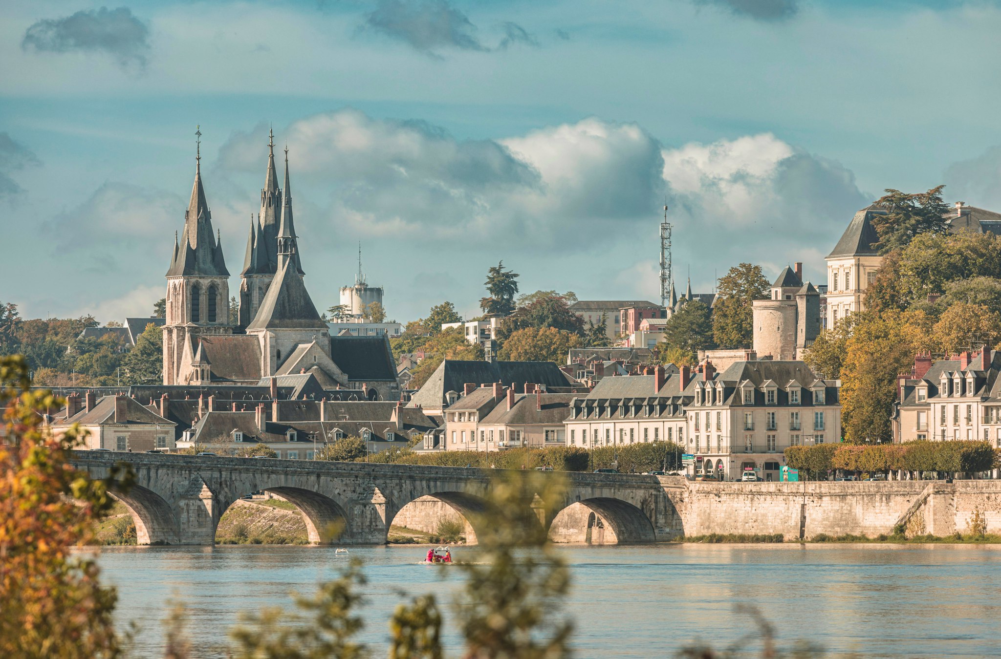 Paris to Amboise and Tours: Private daytrip