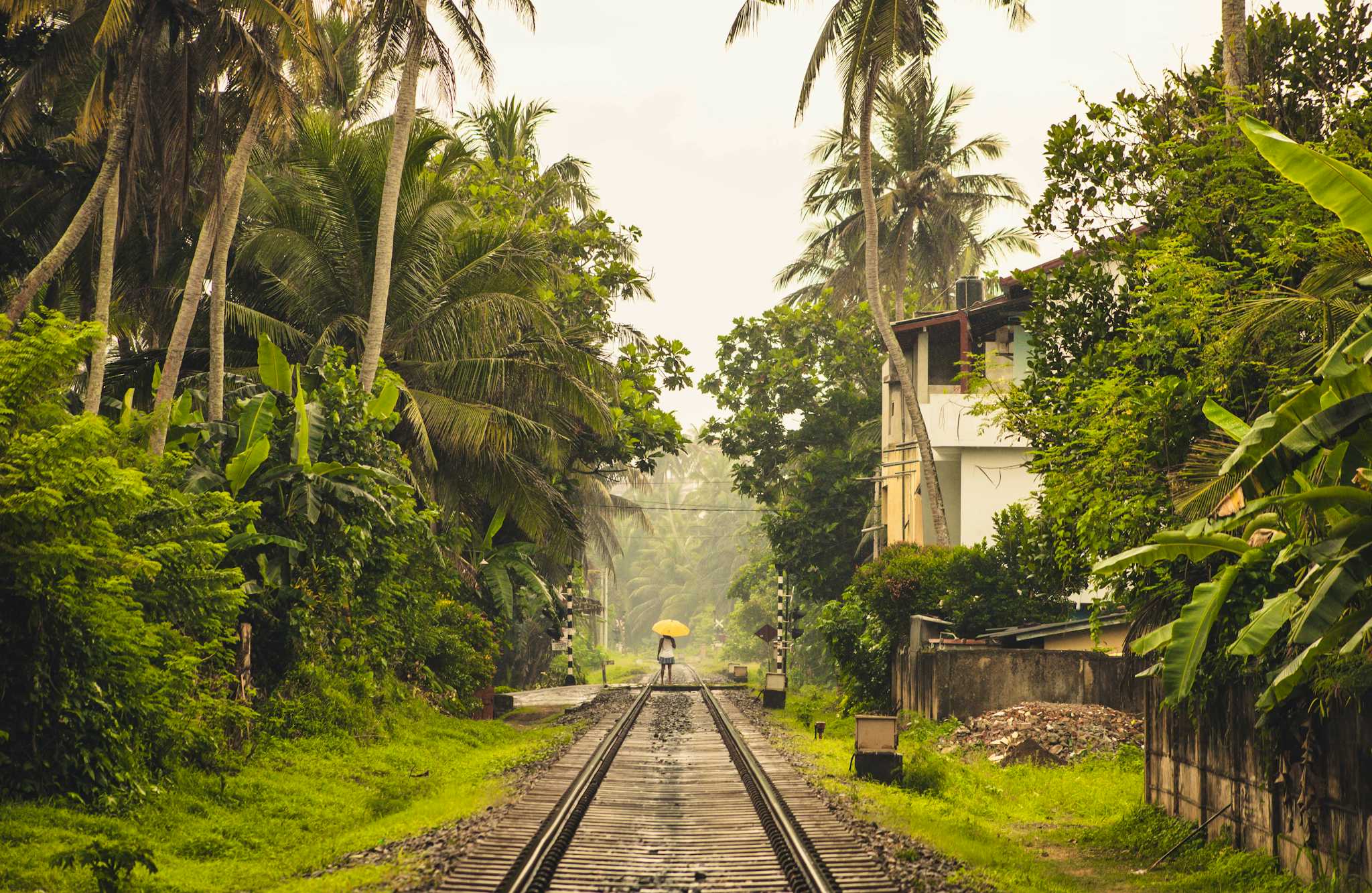 Vavuniya