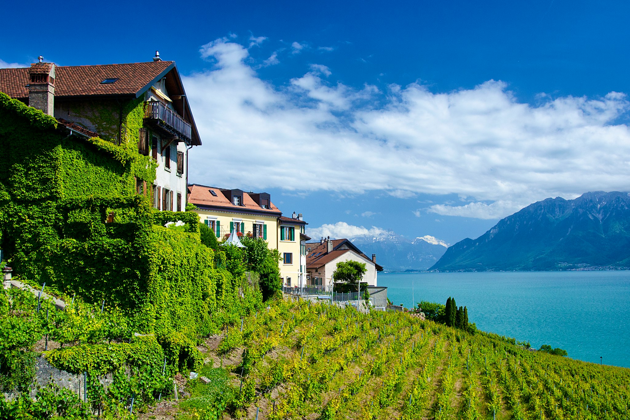 Geneva to Lausanne and Vevey: Private day trip