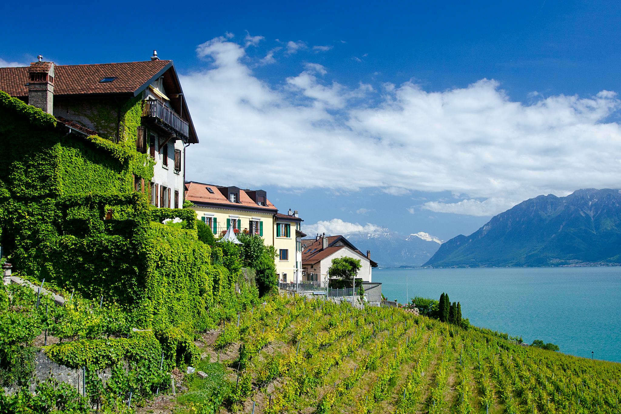 Vevey