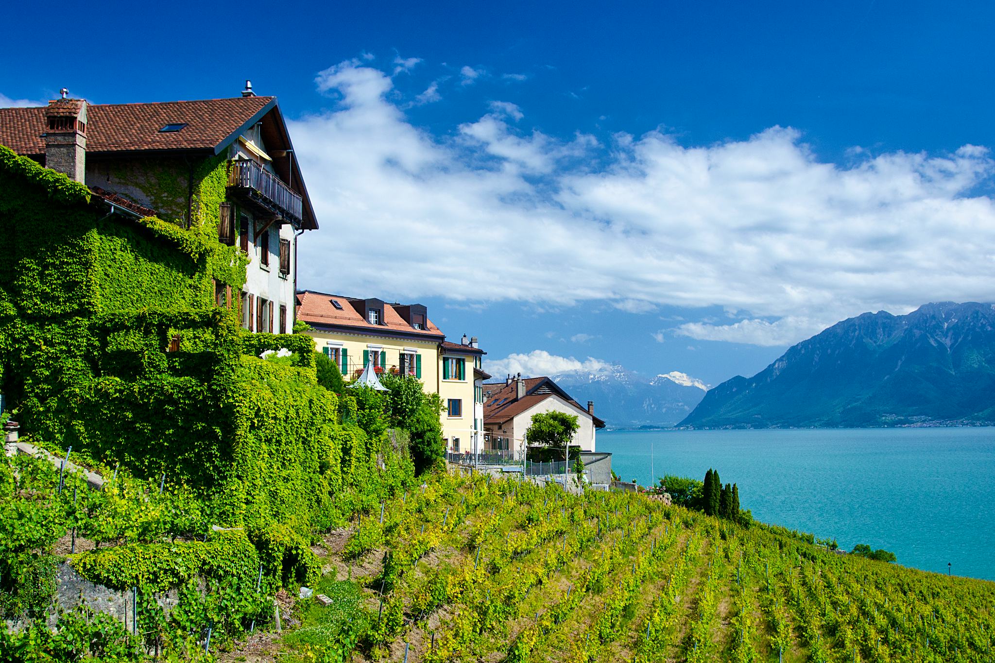 Geneva to Lausanne and Vevey: Private day trip