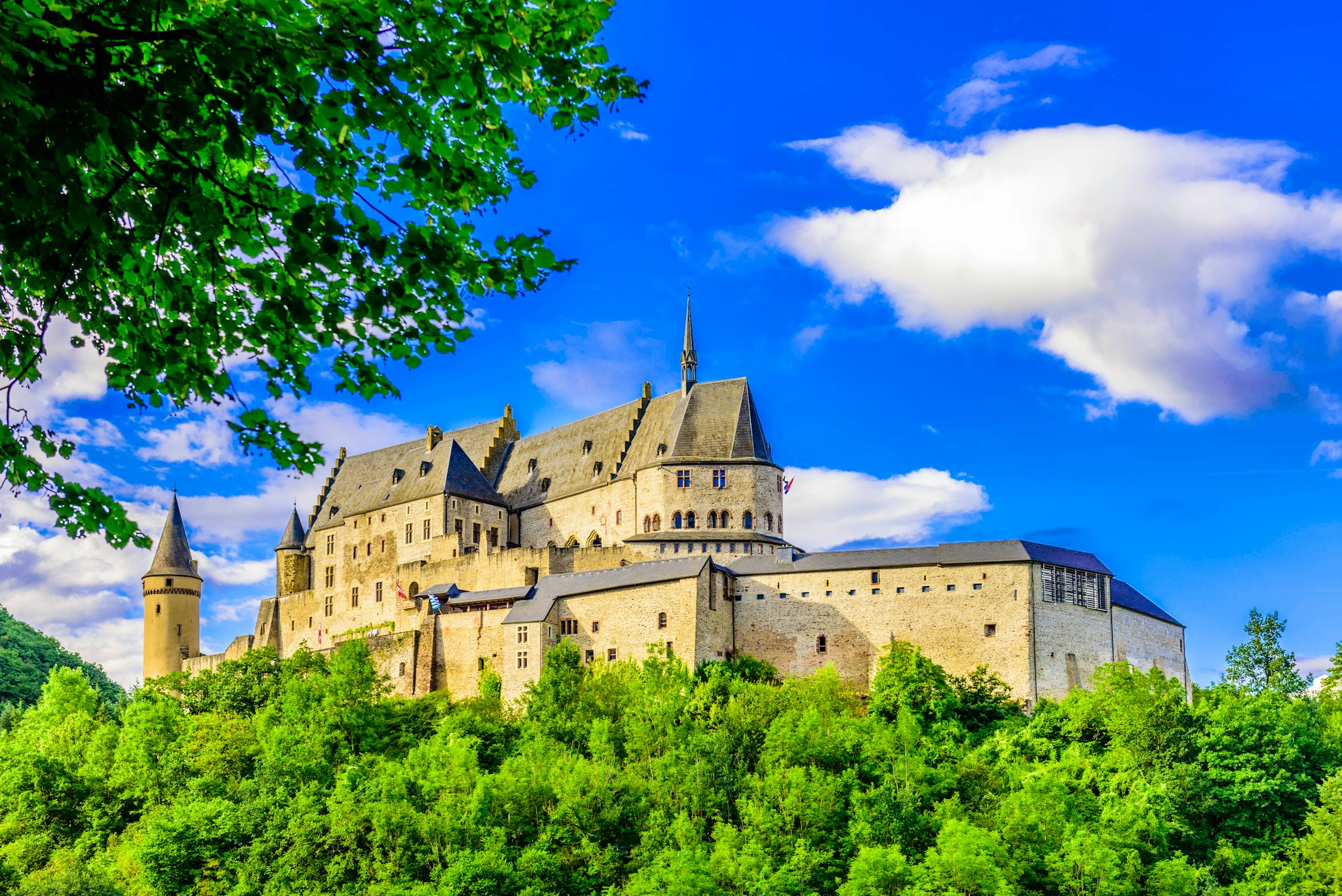 Luxembourg City to Vianden Castle: Private day trip
