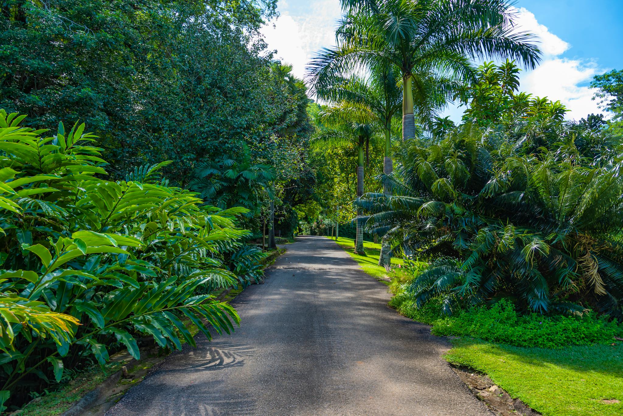 Jardines Botánicos Victoria