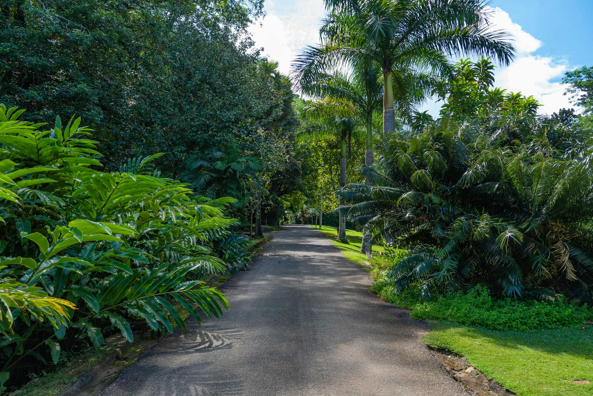 Victoria Botanical Gardens