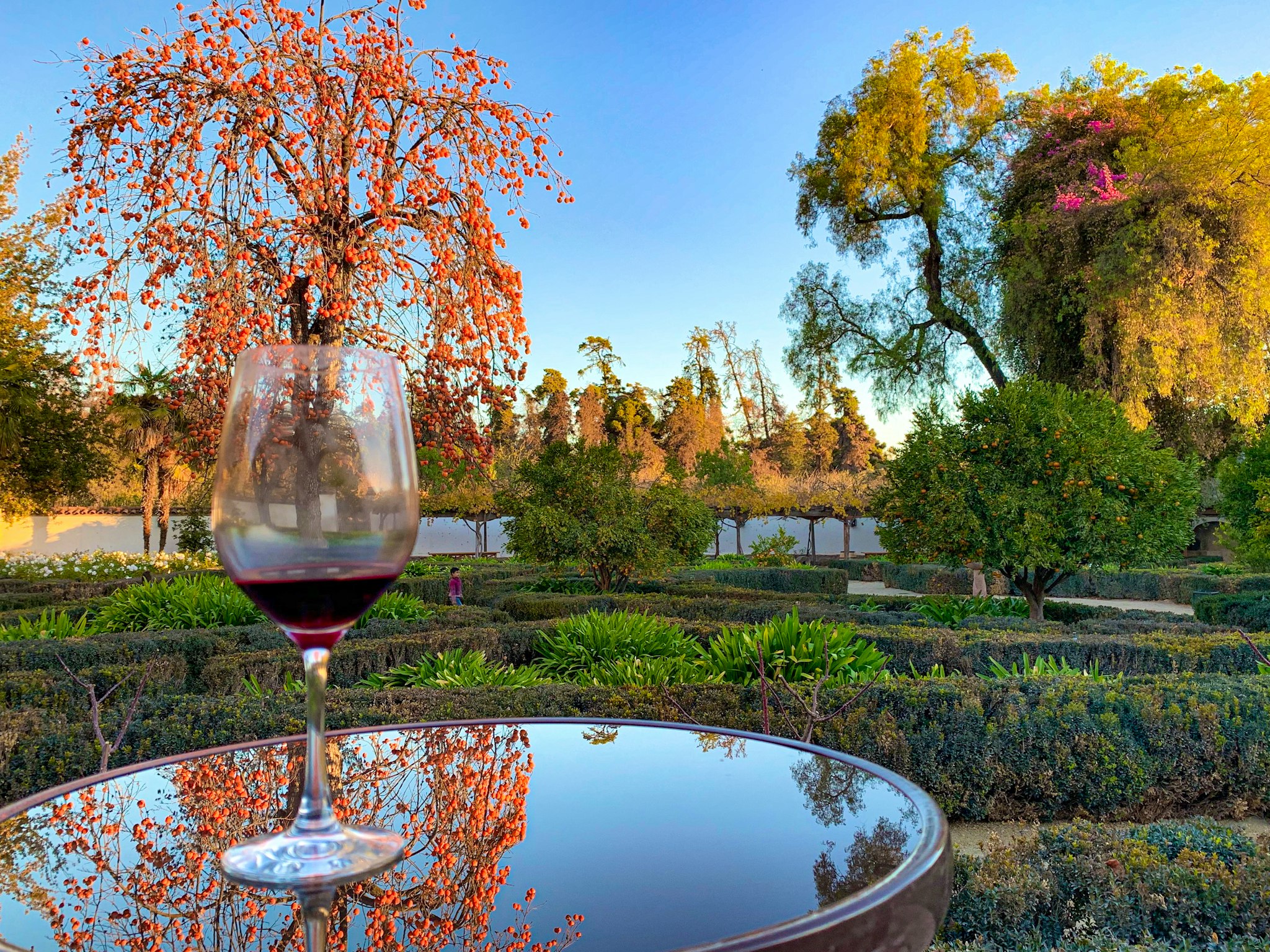 Santiago to Vina Santa Rita and Parque Tricao: Day trip