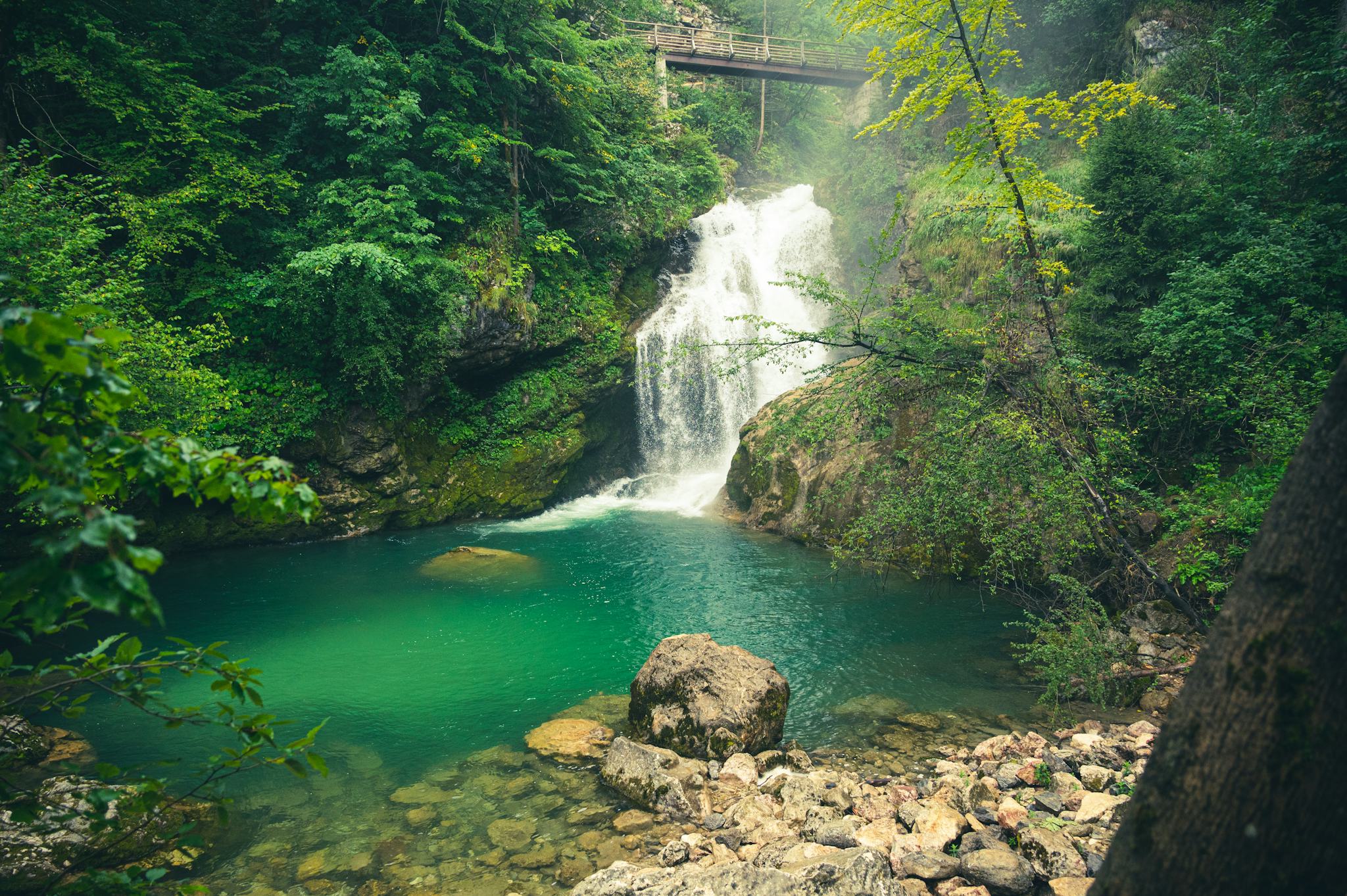 Vintgar Gorge