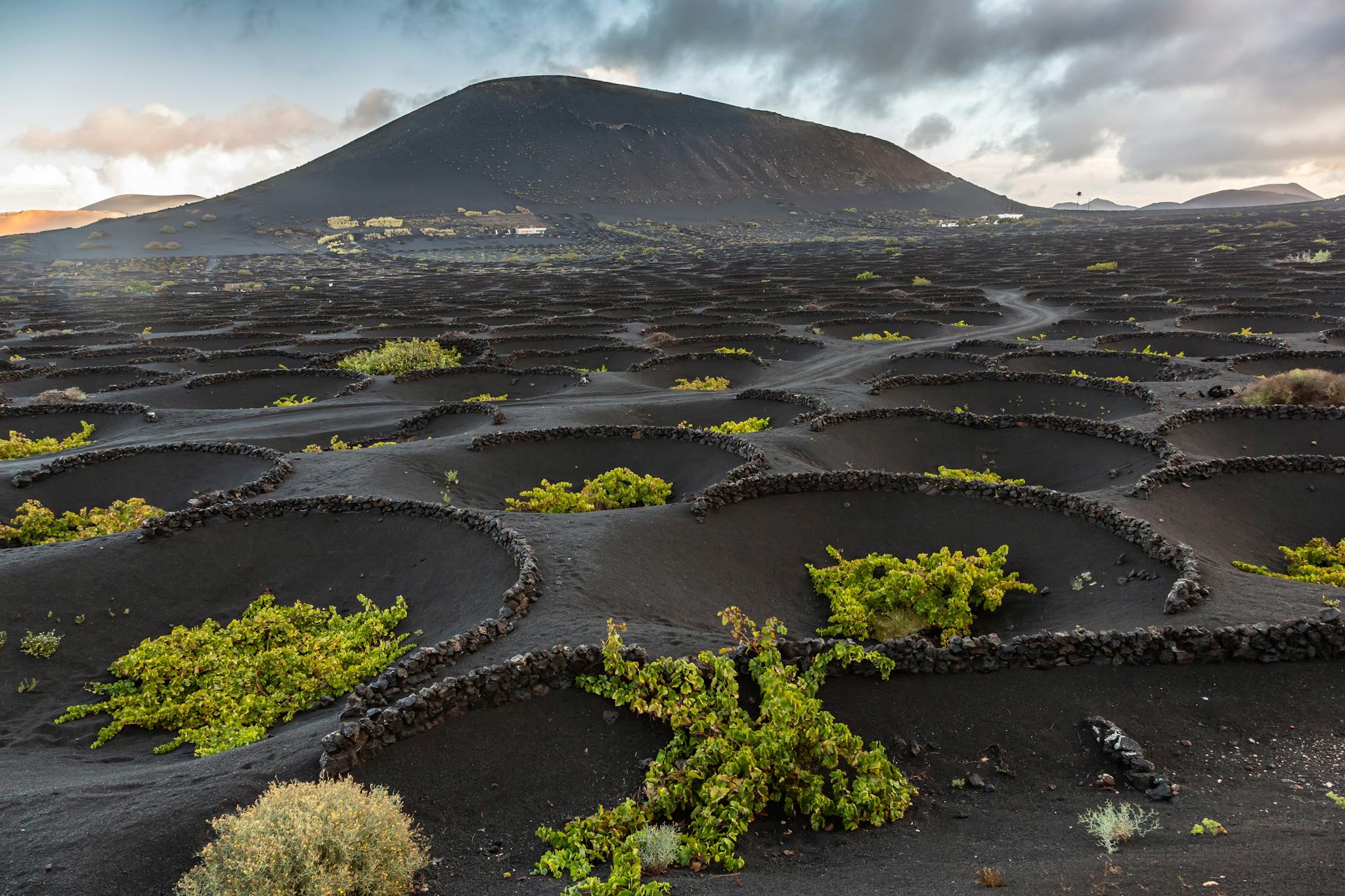 Volcanic Hills Winery